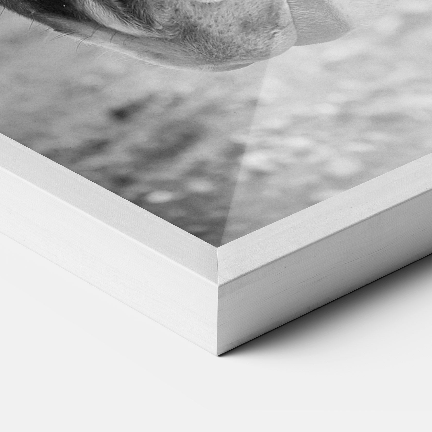 Gray Horse Head mockup 3