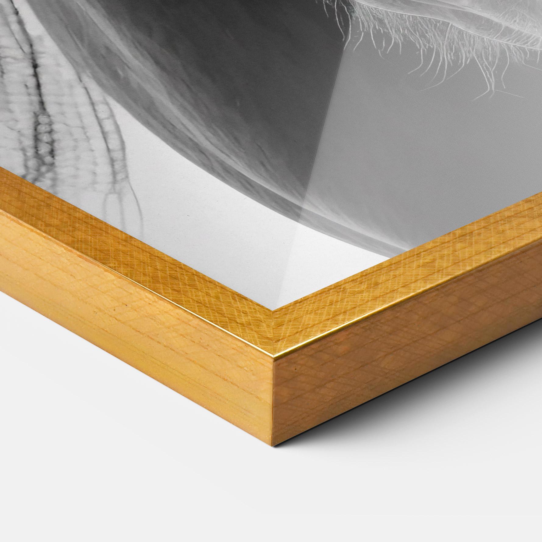 Keretezett Poszter Close Up Horse mockup 3