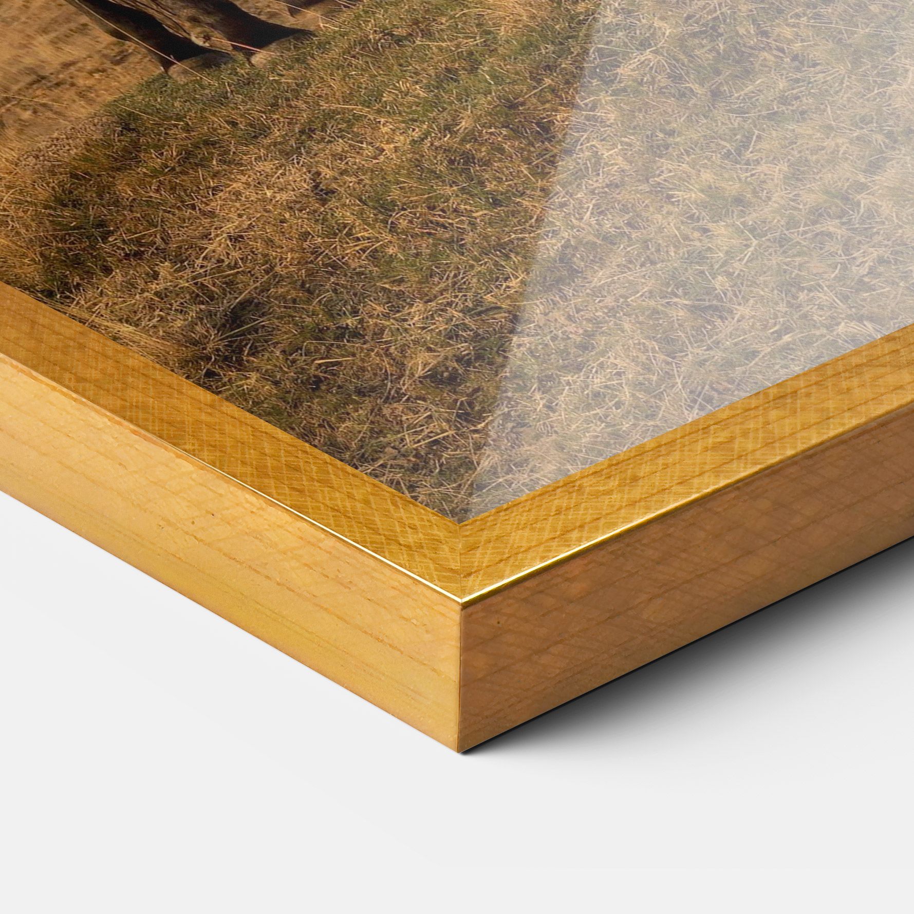 Mountain Horses mockup 3