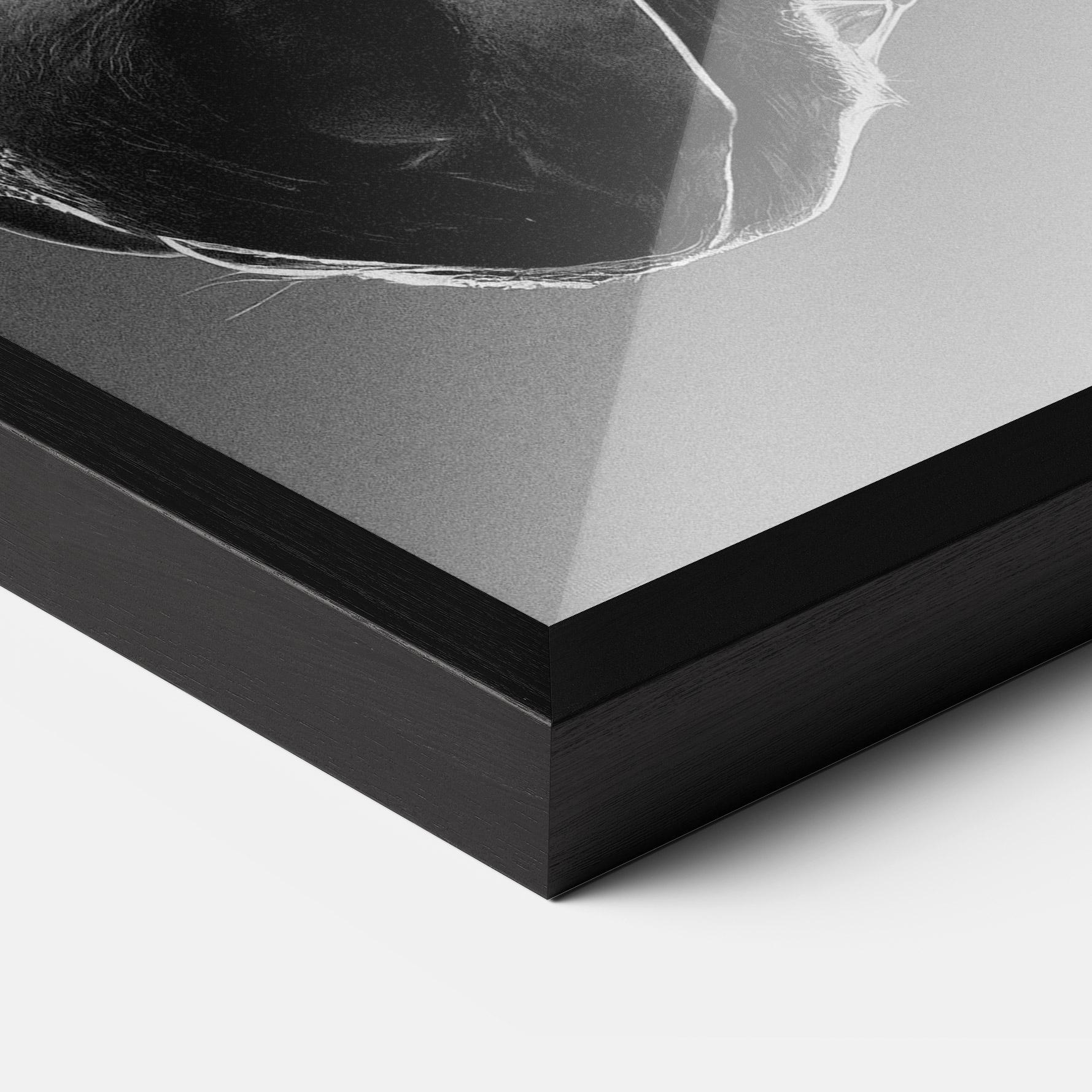 Keretezett Poszter Black Horse Profile mockup 3