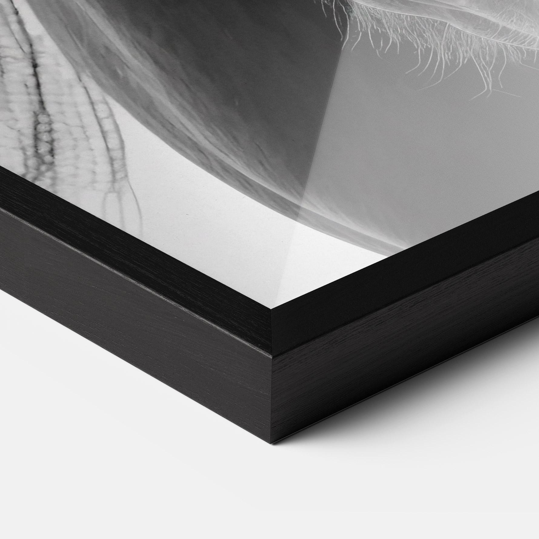 Keretezett Poszter Close Up Horse mockup 3