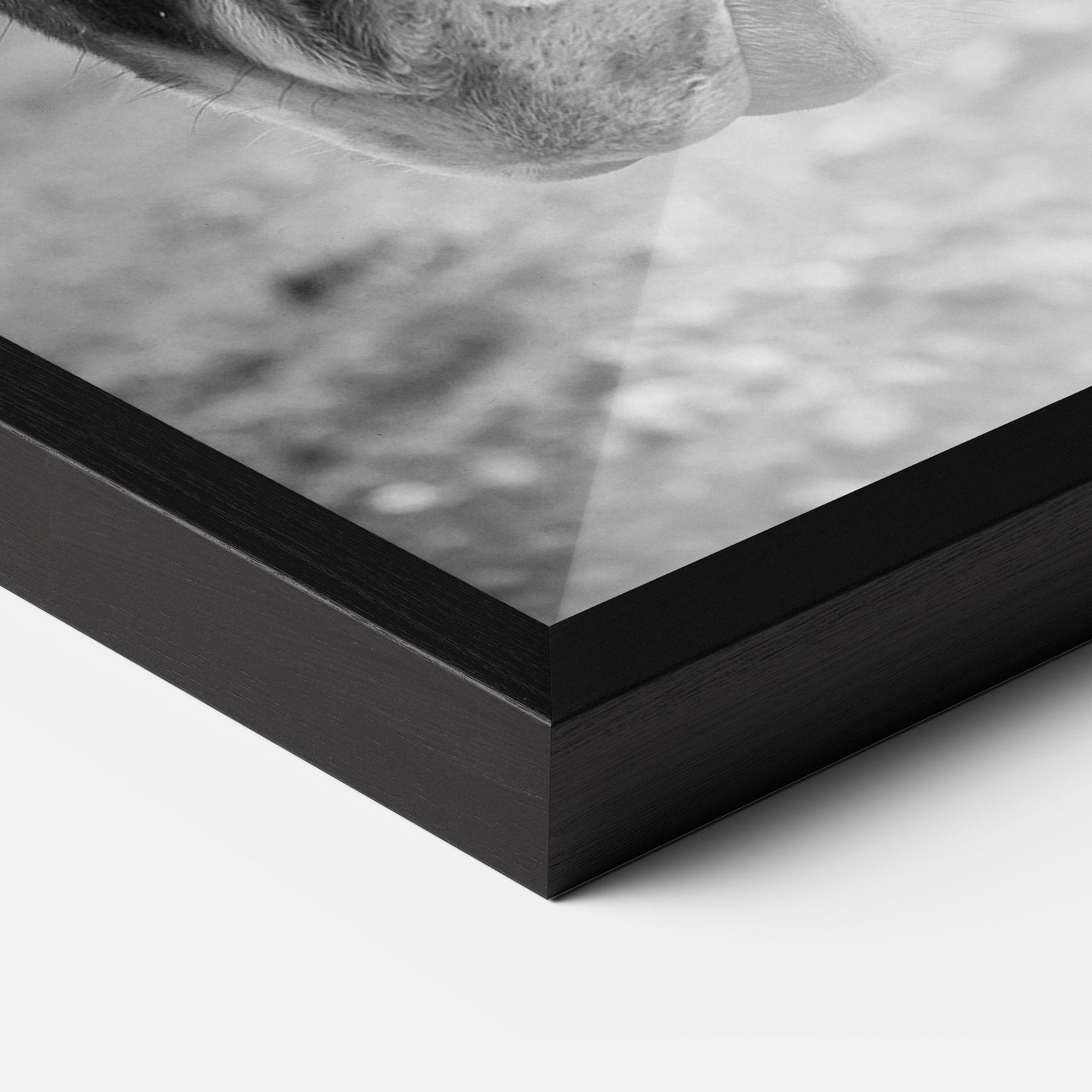 Keretezett Poszter Gray Horse Head mockup 3