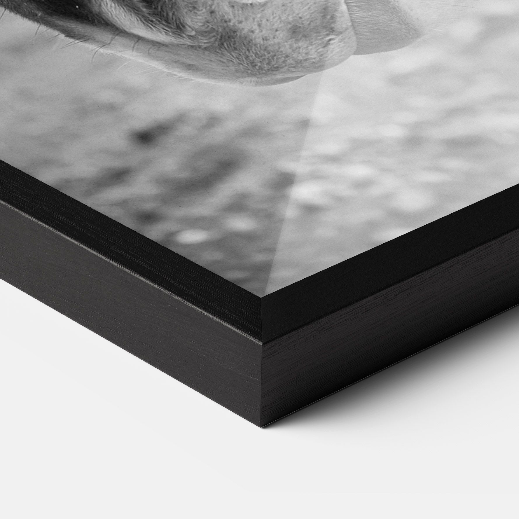 Gray Horse Head mockup 3