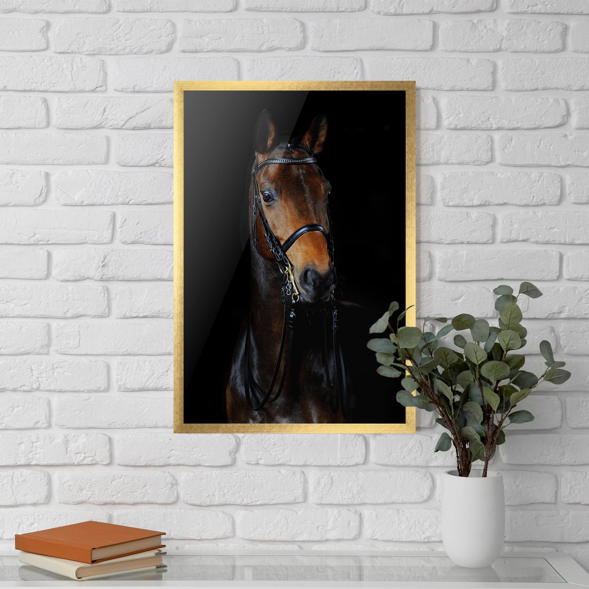 Keretezett Poszter Brown Horse On Black mockup 5