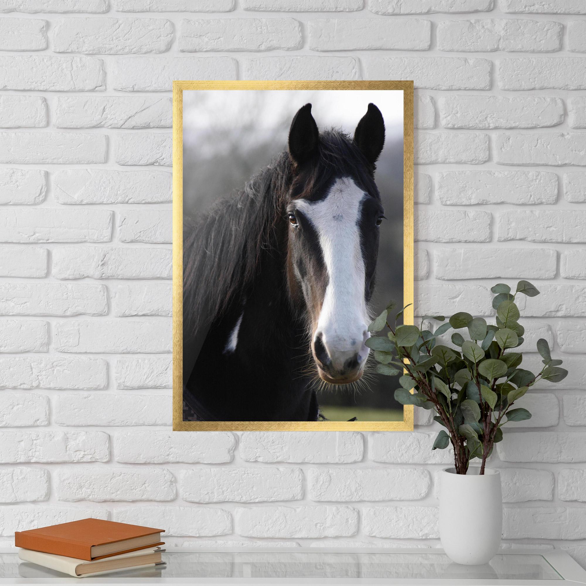 Keretezett Poszter Horse Black Portrait mockup 5