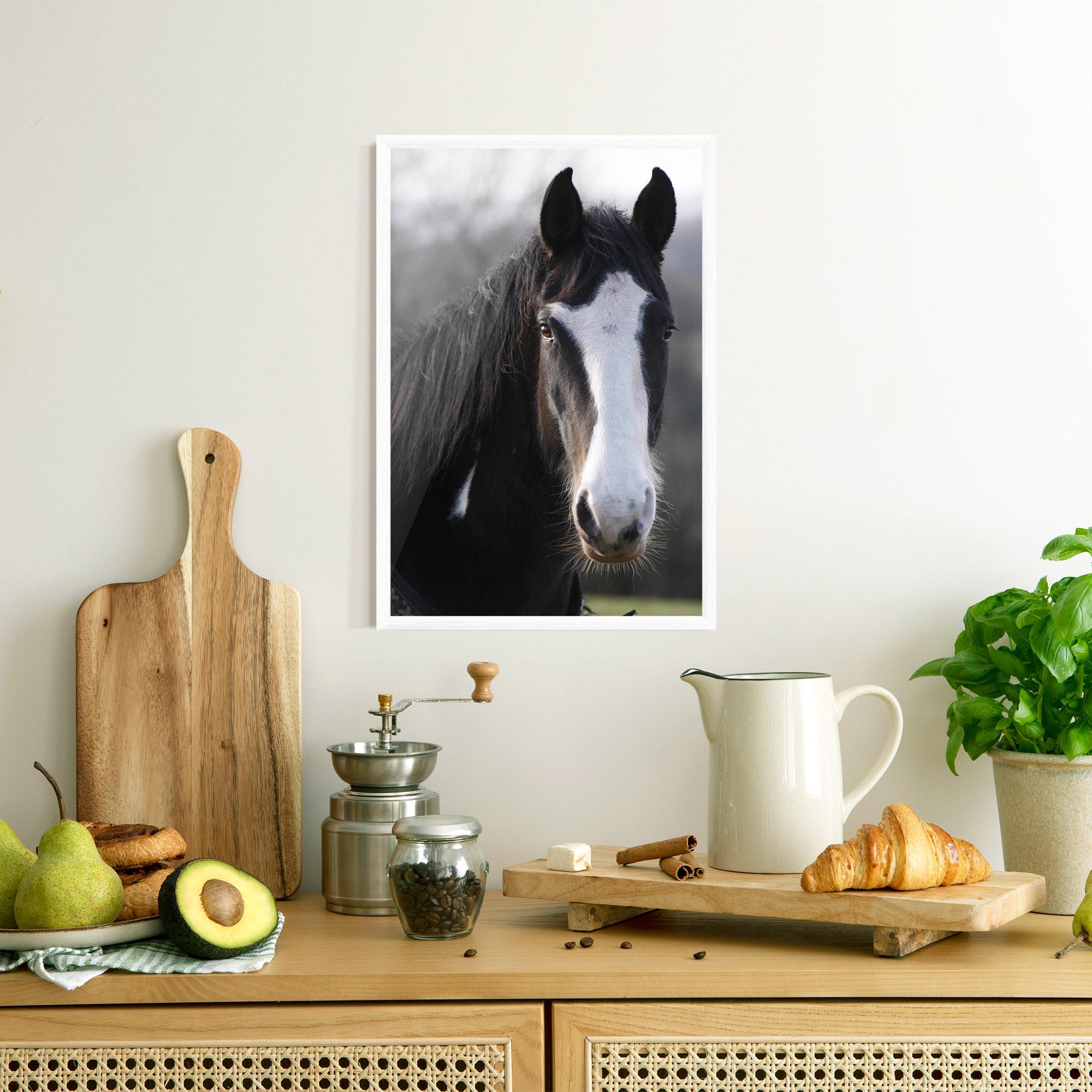 Keretezett Poszter Horse Black Portrait mockup 8