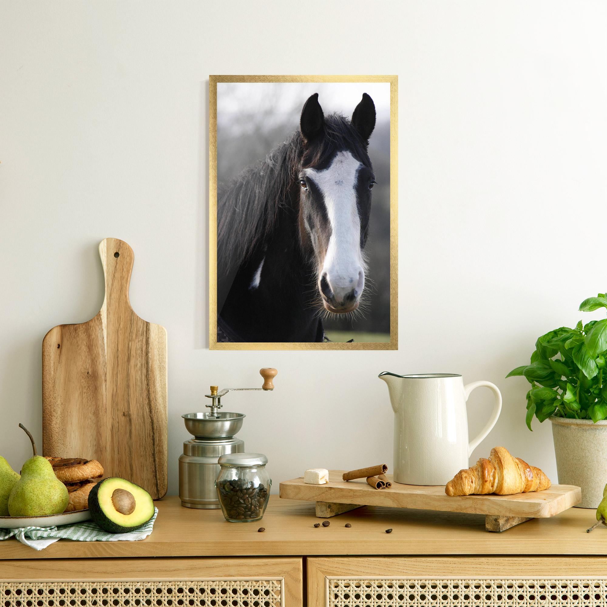 Keretezett Poszter Horse Black Portrait mockup 8