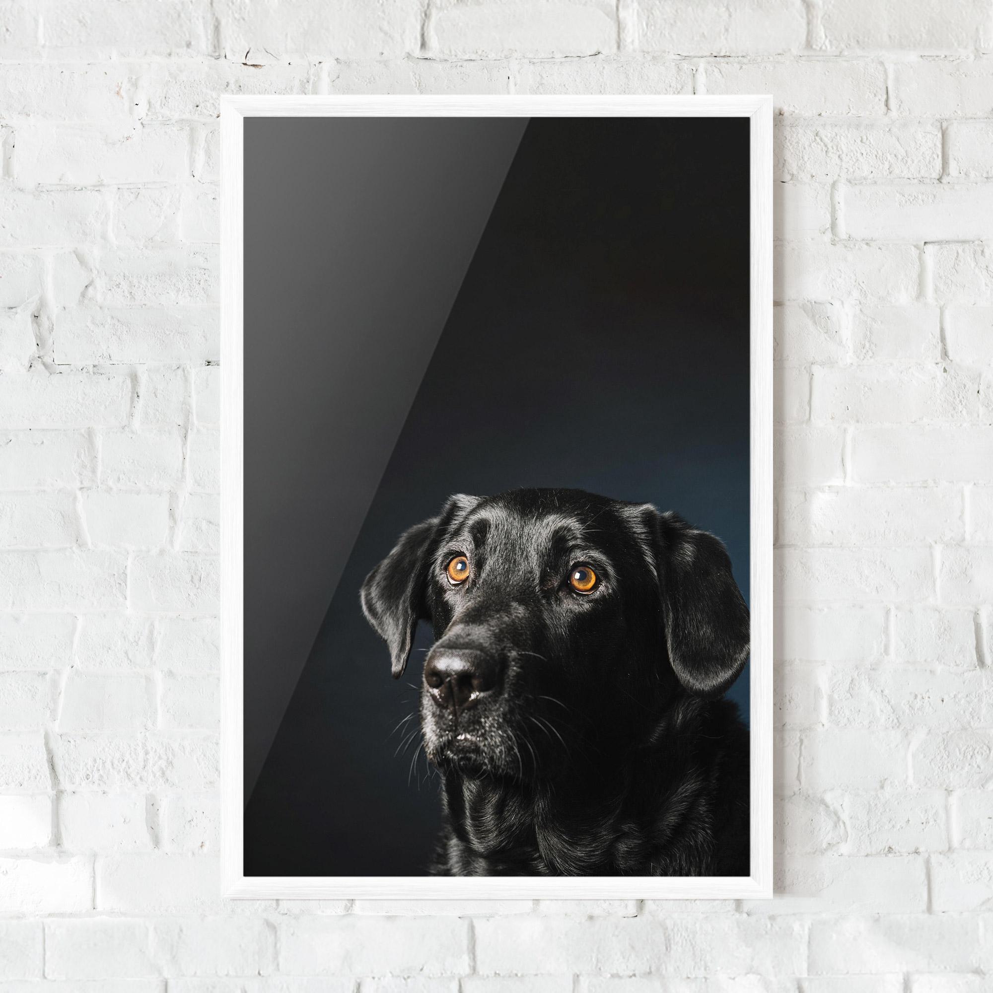Keretezett Poszter Brown Eyes Dog mockup 0