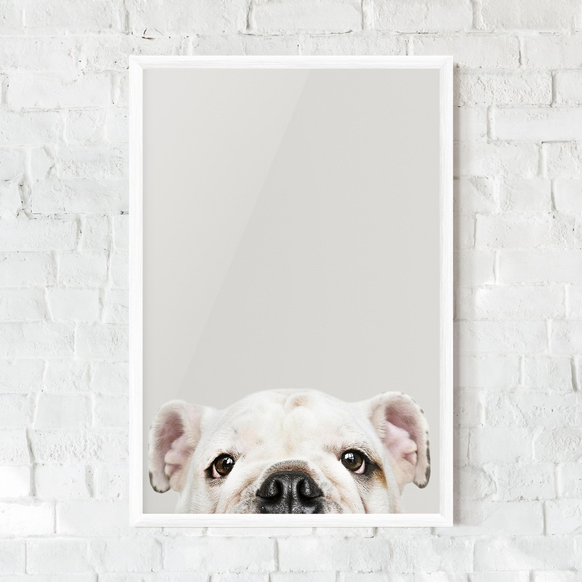 Bulldog Eyes mockup 0