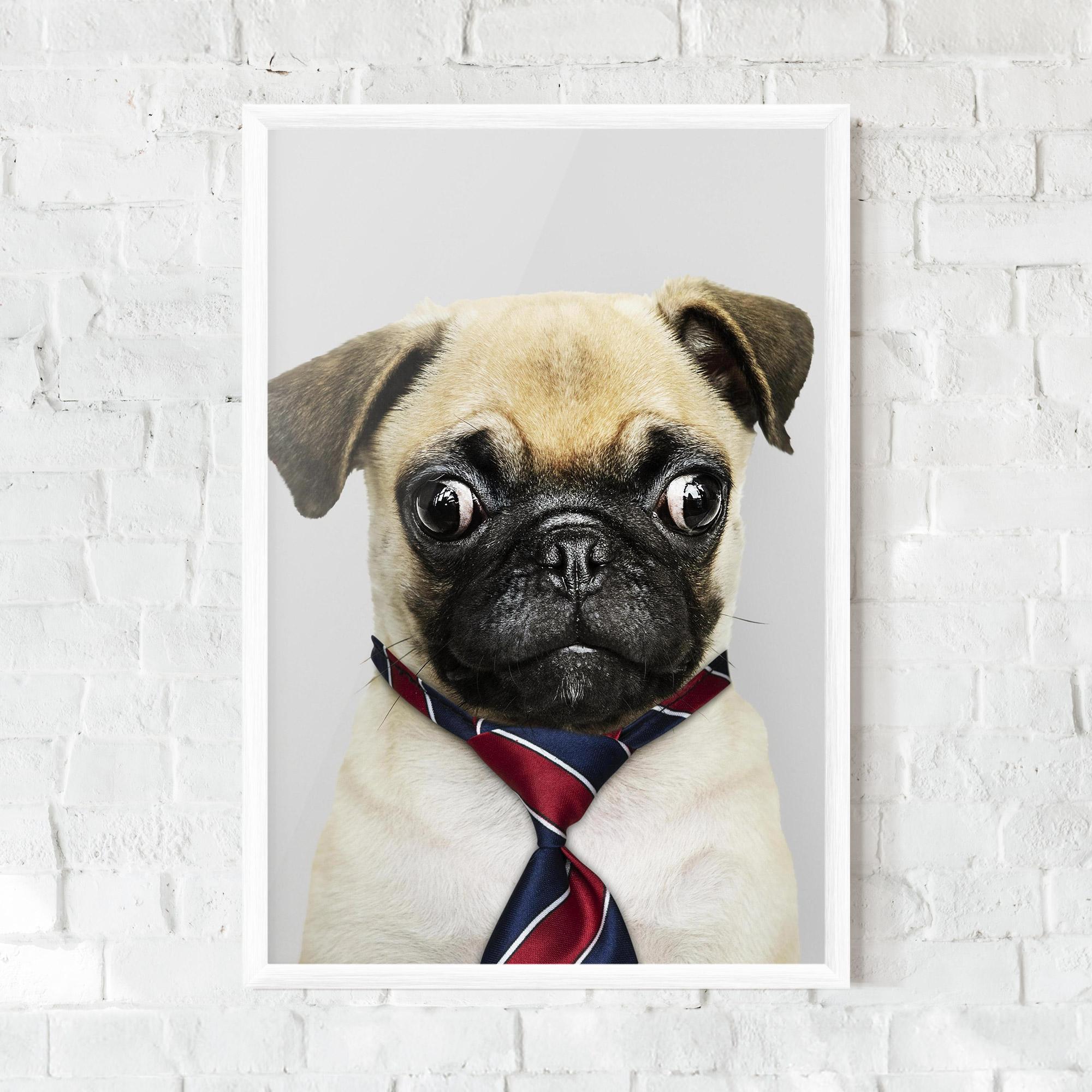 Keretezett Poszter Business Pug mockup 0