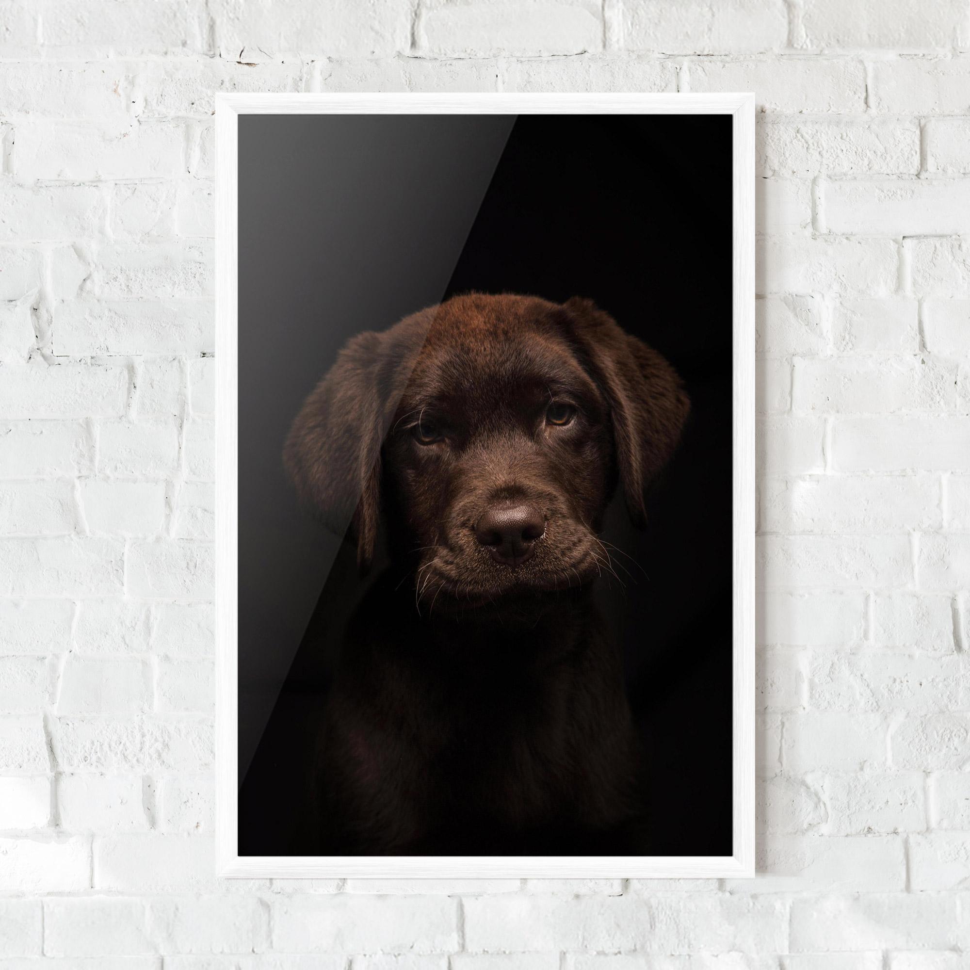 Keretezett Poszter Chocolate Labrador mockup 0