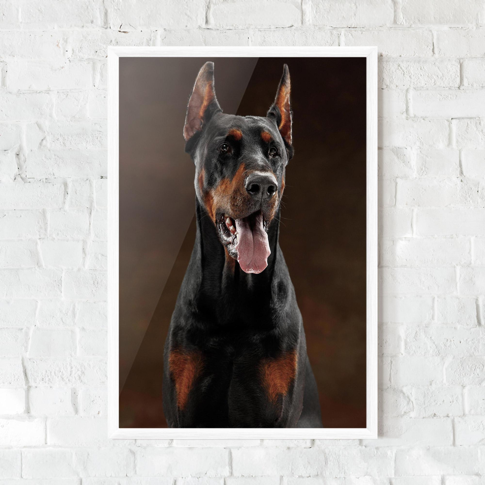 Keretezett Poszter Doberman Looking mockup 0