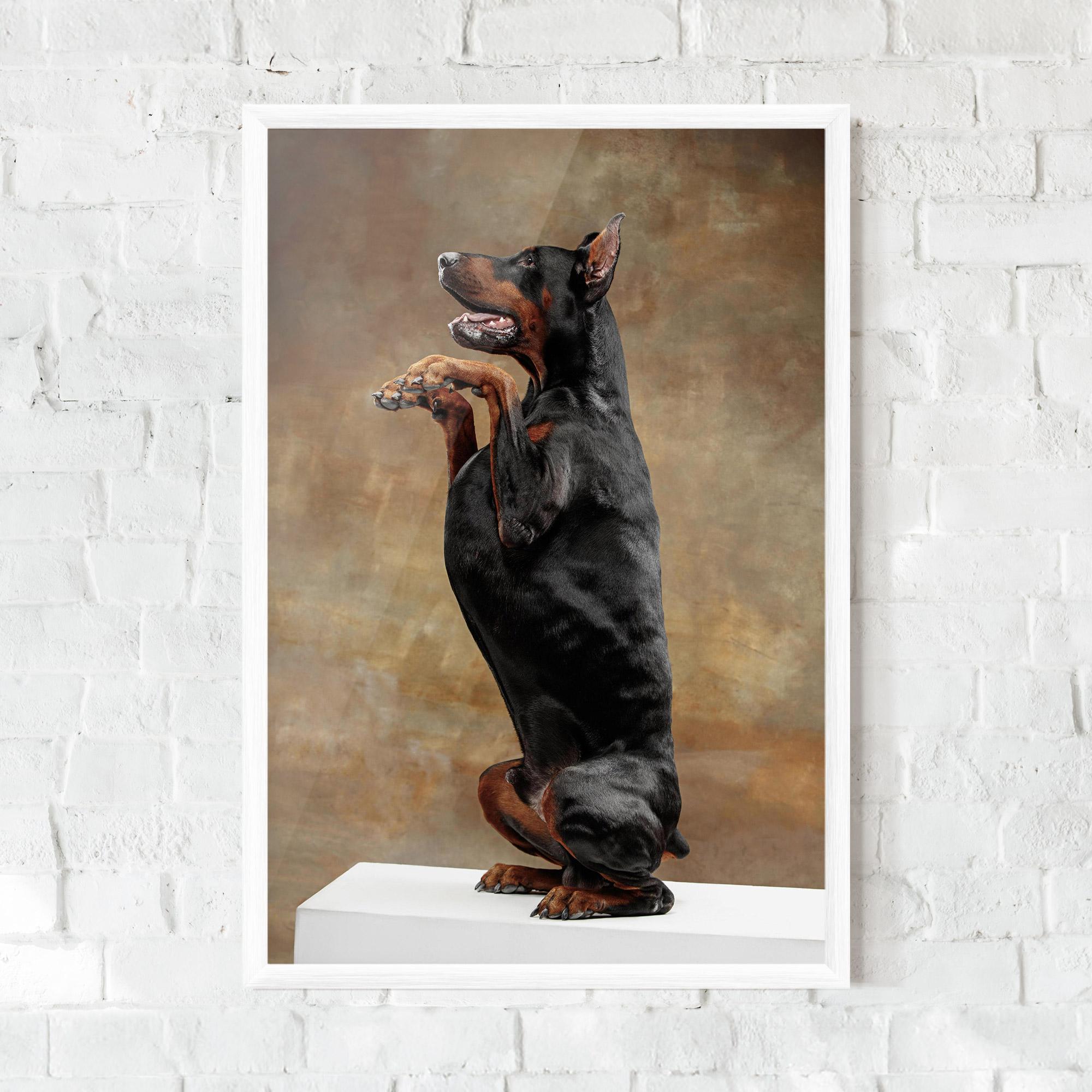 Keretezett Poszter Doberman Standing mockup 0