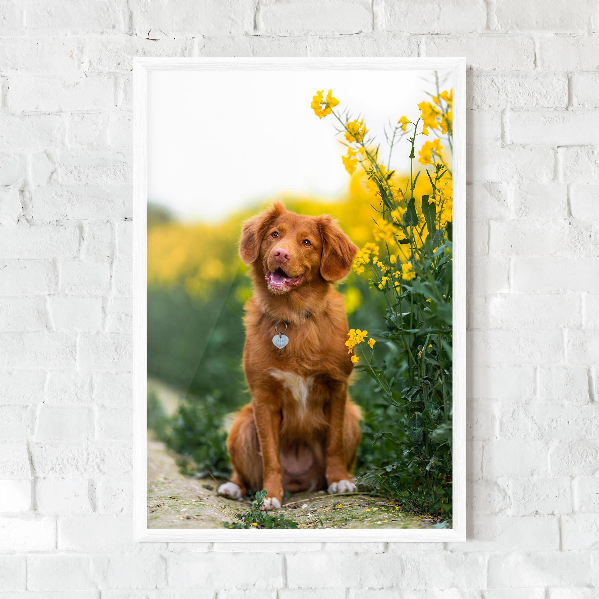 Keretezett Poszter Dog Yellow Flowers mockup 0