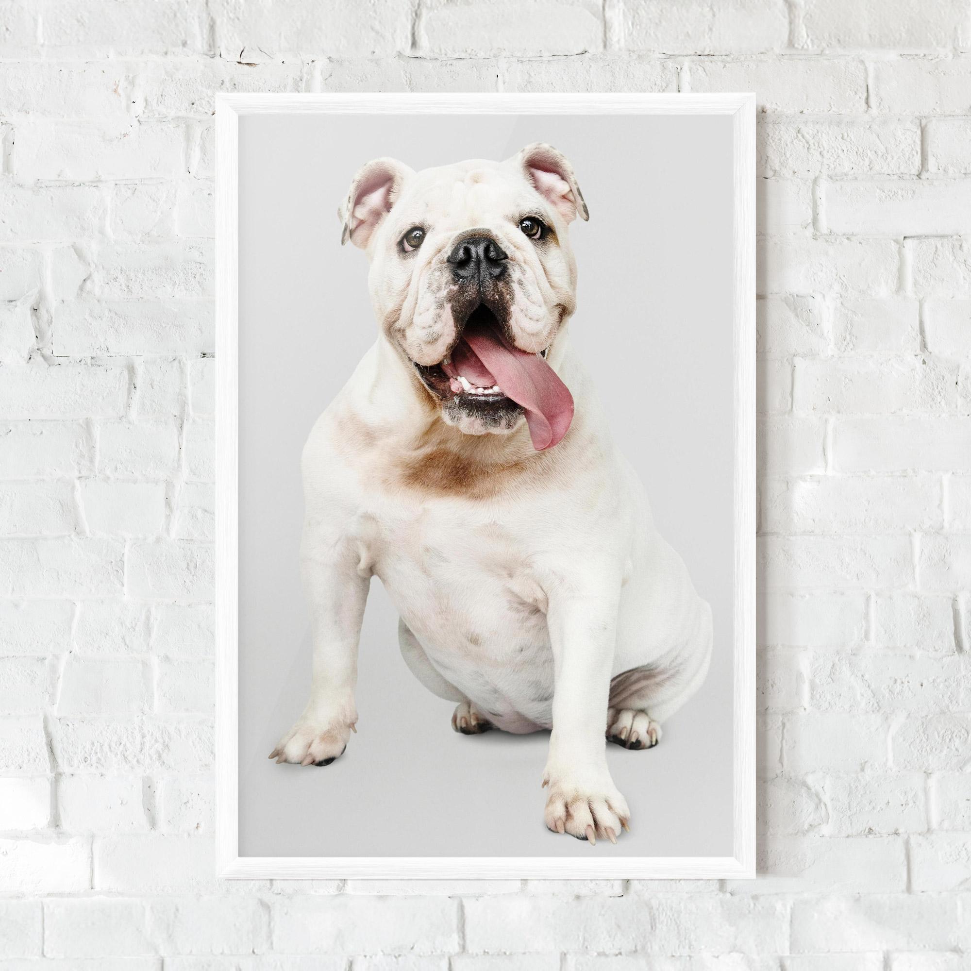 Keretezett Poszter Happy White Dog mockup 0