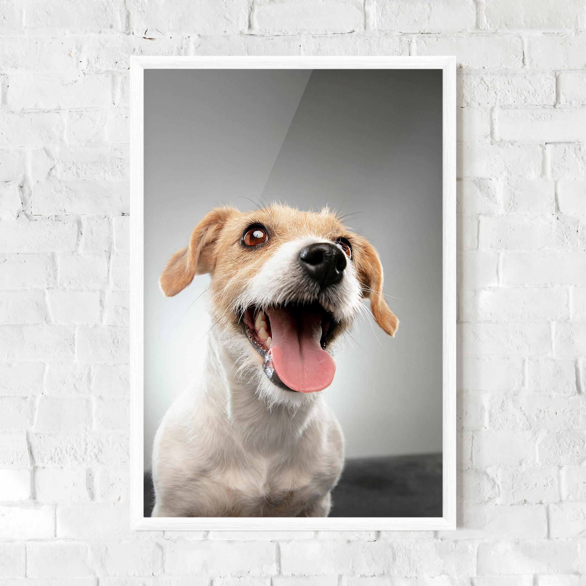 Keretezett Poszter Jack Russell Terrier mockup 0