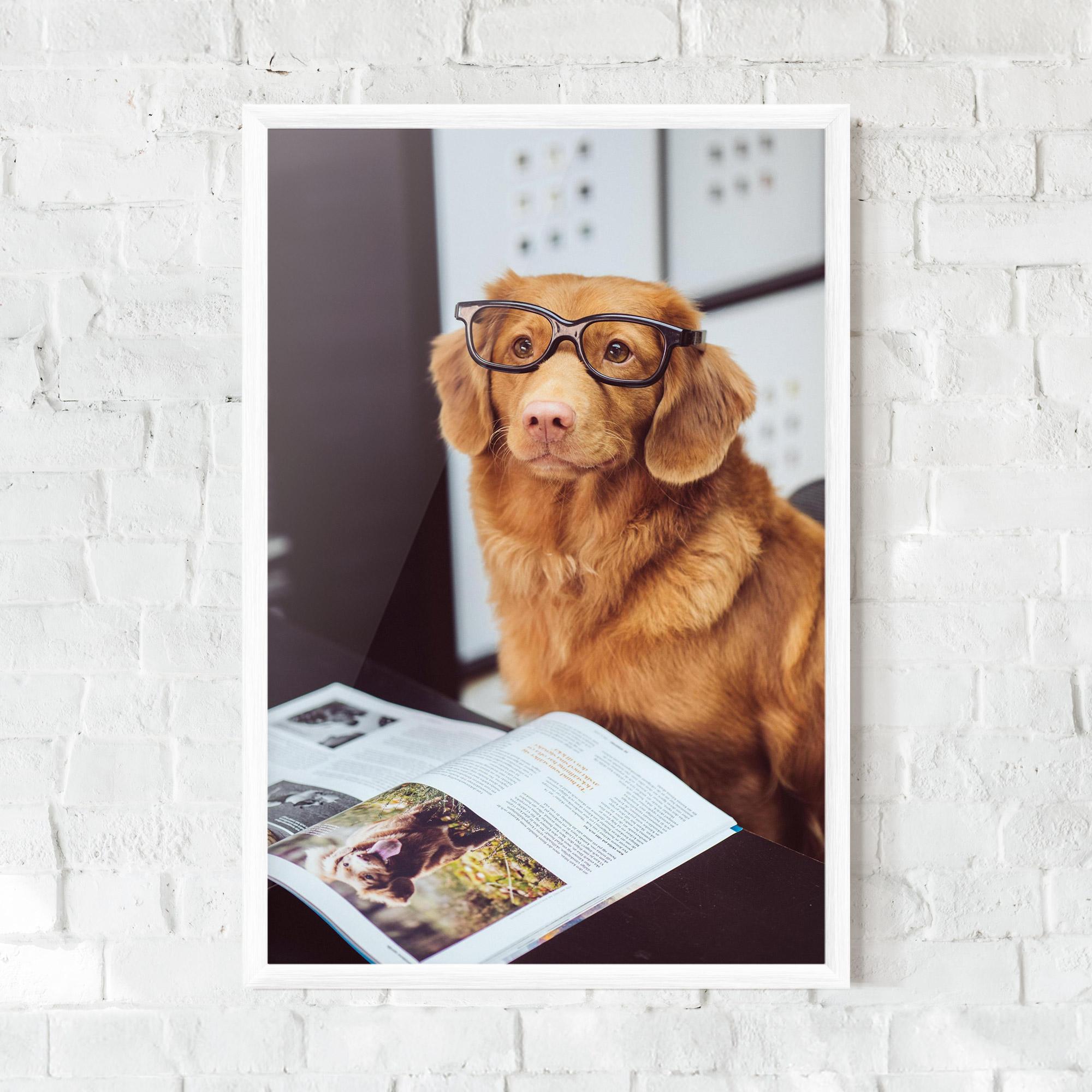 Keretezett Poszter Learning Dog mockup 0