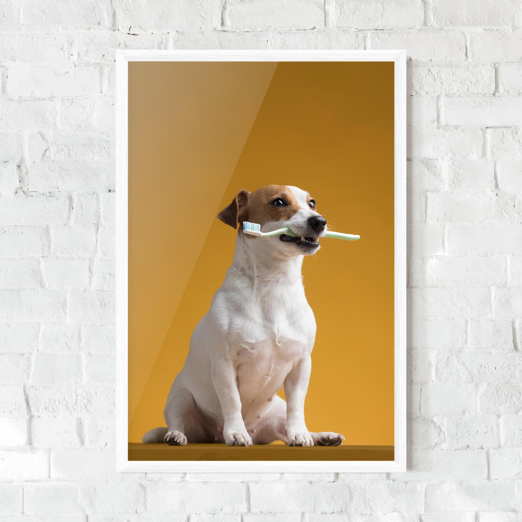 Keretezett Poszter Toothbrush Dog mockup 0