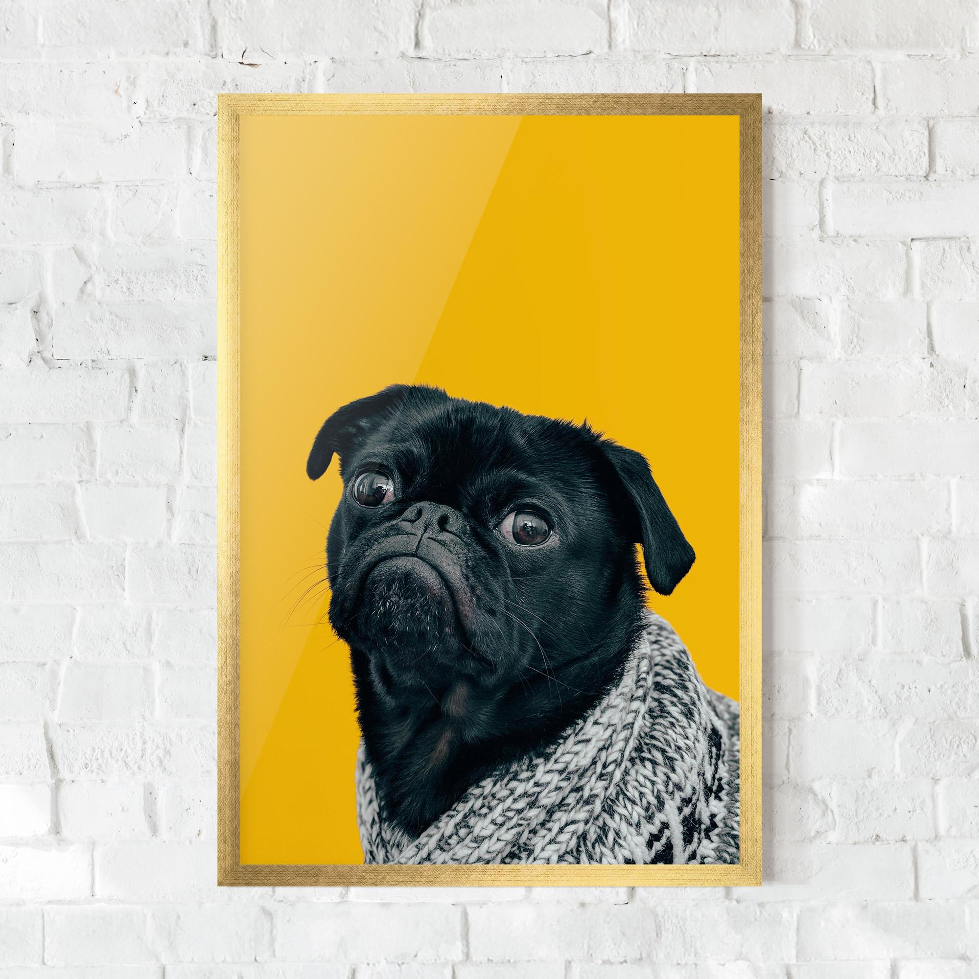 Keretezett Poszter Black Pug mockup 0
