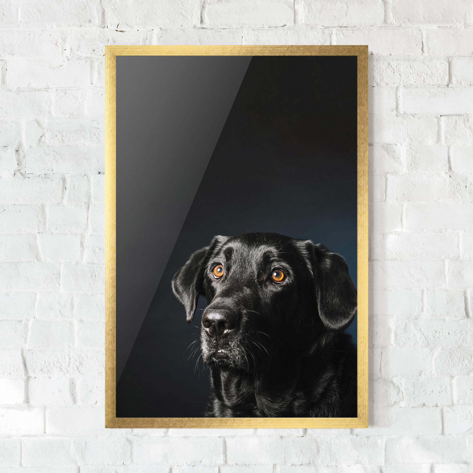 Keretezett Poszter Brown Eyes Dog mockup 0