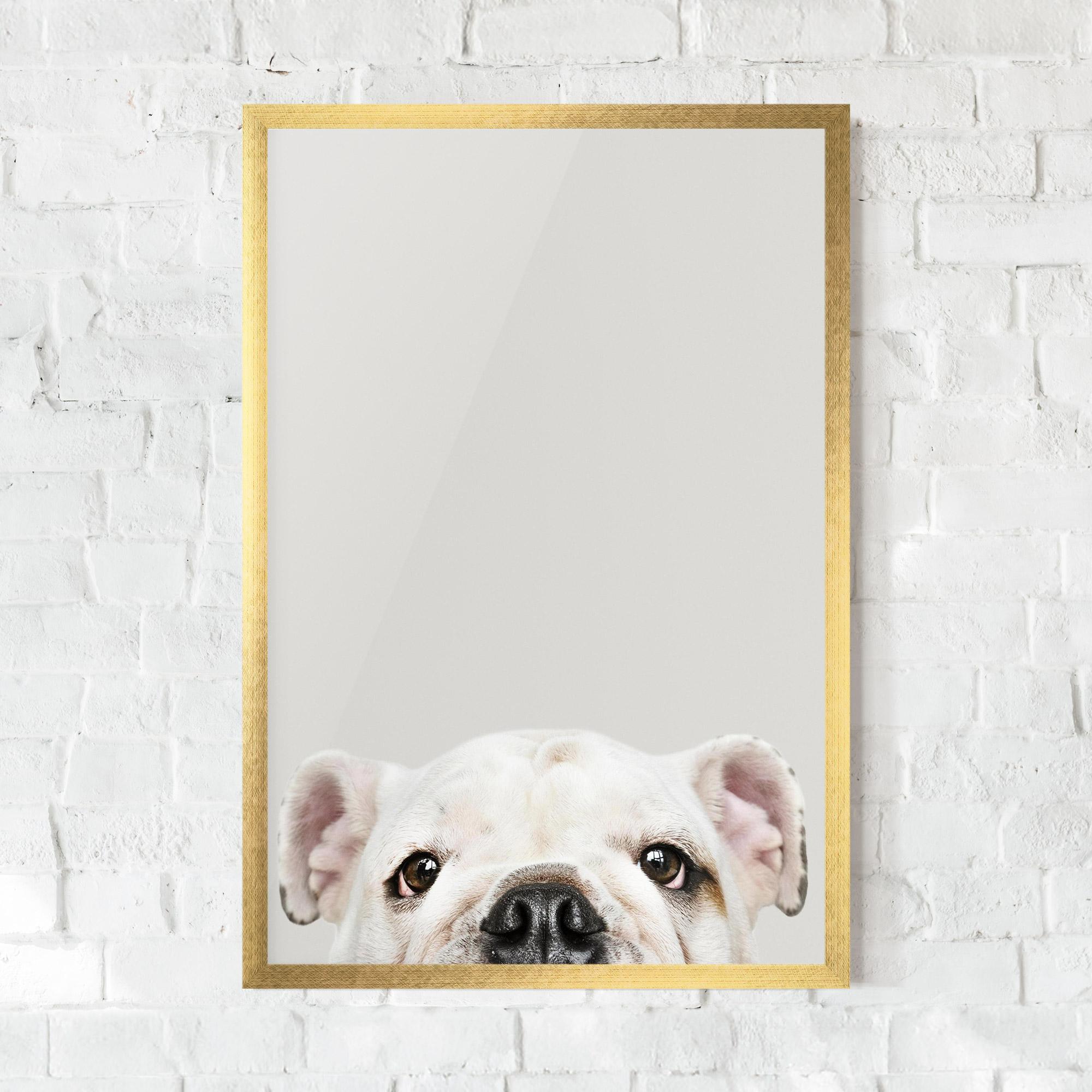 Keretezett Poszter Bulldog Eyes mockup 0