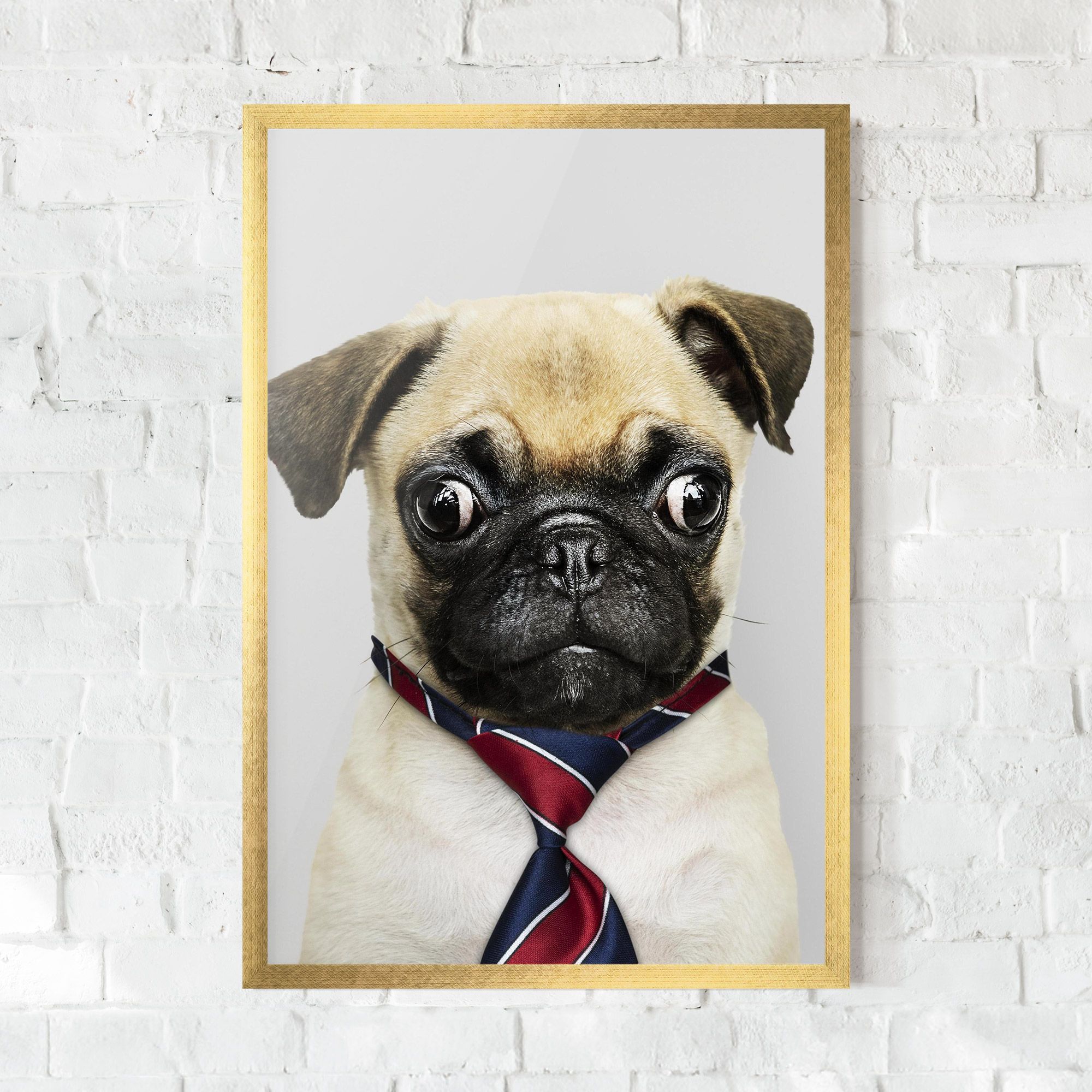 Business Pug mockup 0