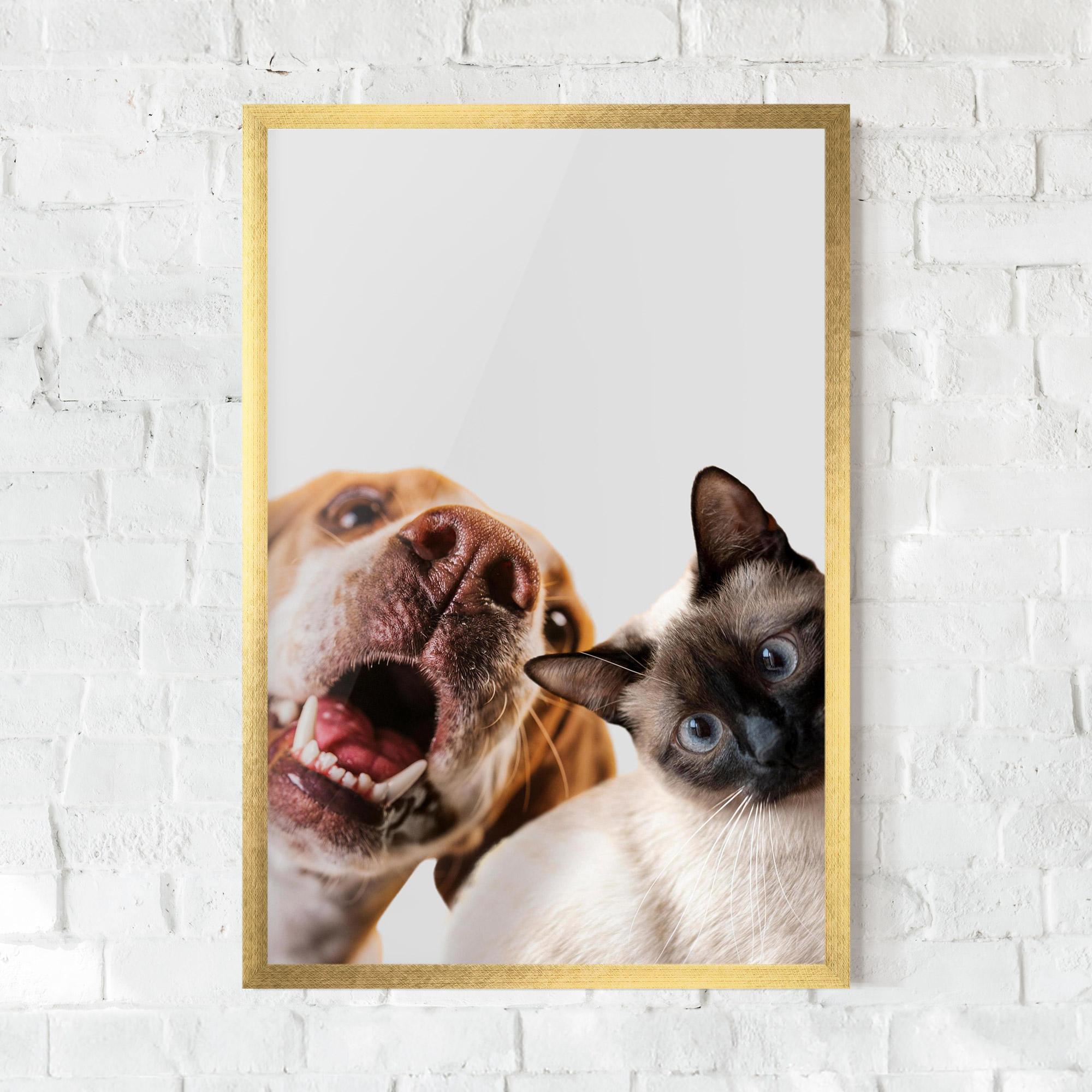 Keretezett Poszter Cute Pet Collage mockup 0