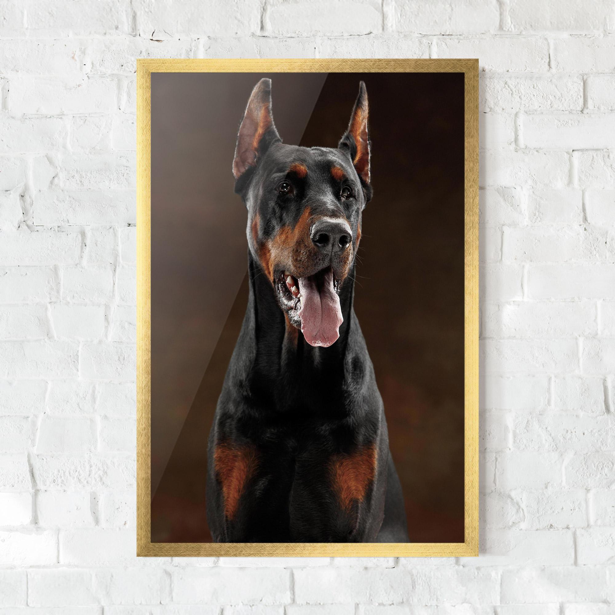 Keretezett Poszter Doberman Looking mockup 0