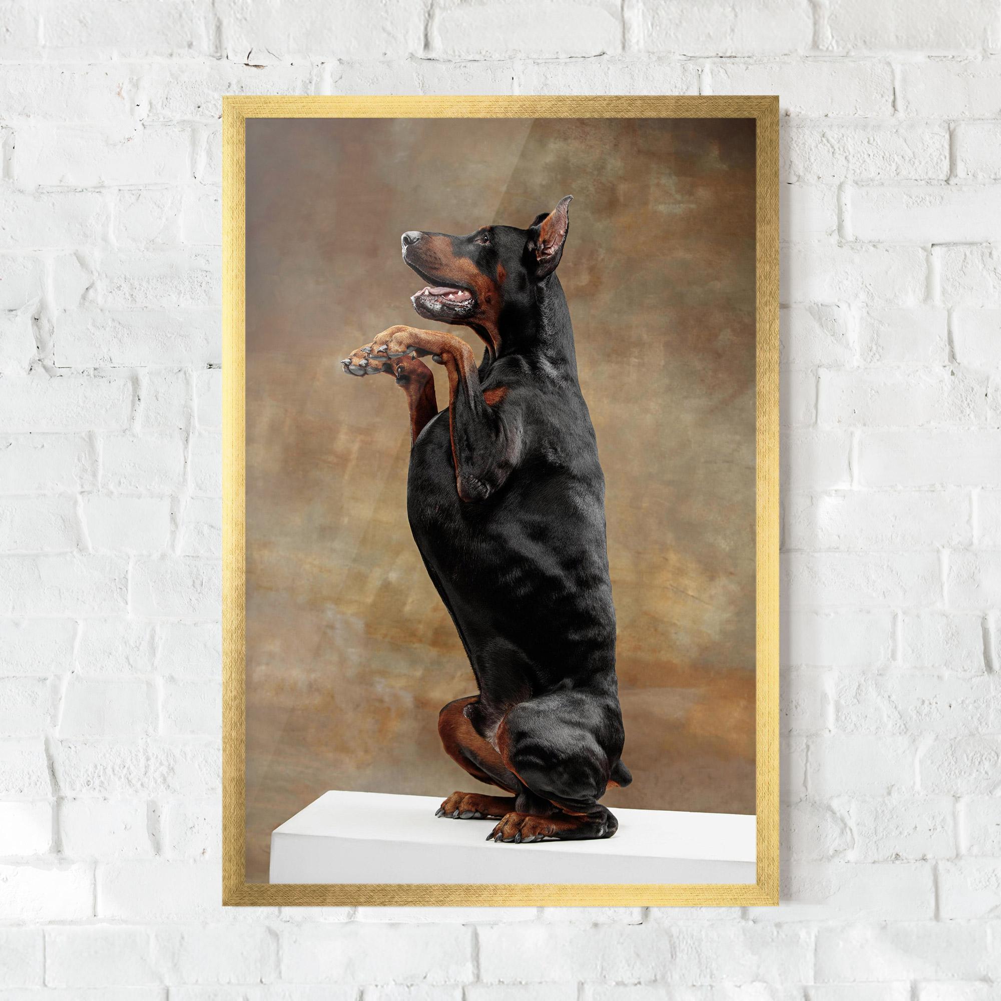 Keretezett Poszter Doberman Standing mockup 0