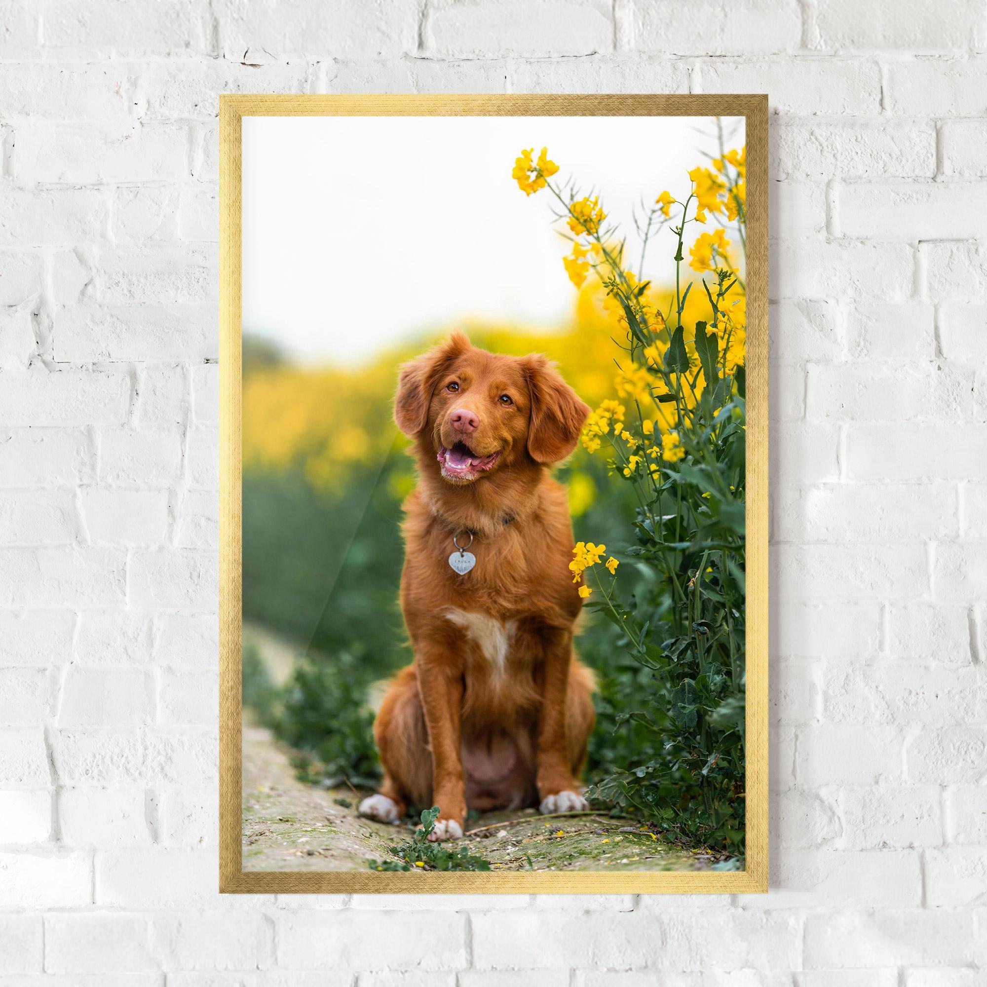 Keretezett Poszter Dog Yellow Flowers mockup 0