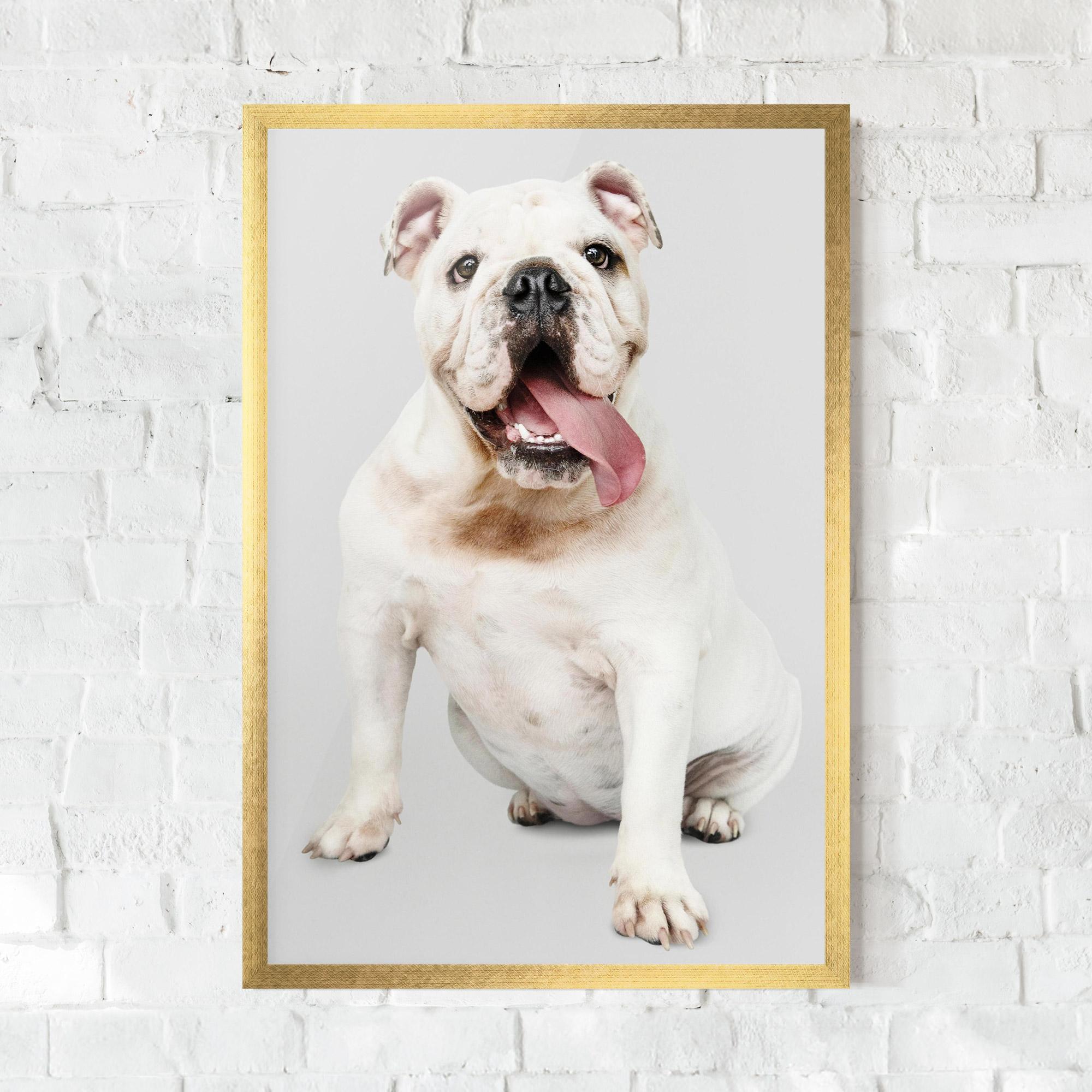 Keretezett Poszter Happy White Dog mockup 0