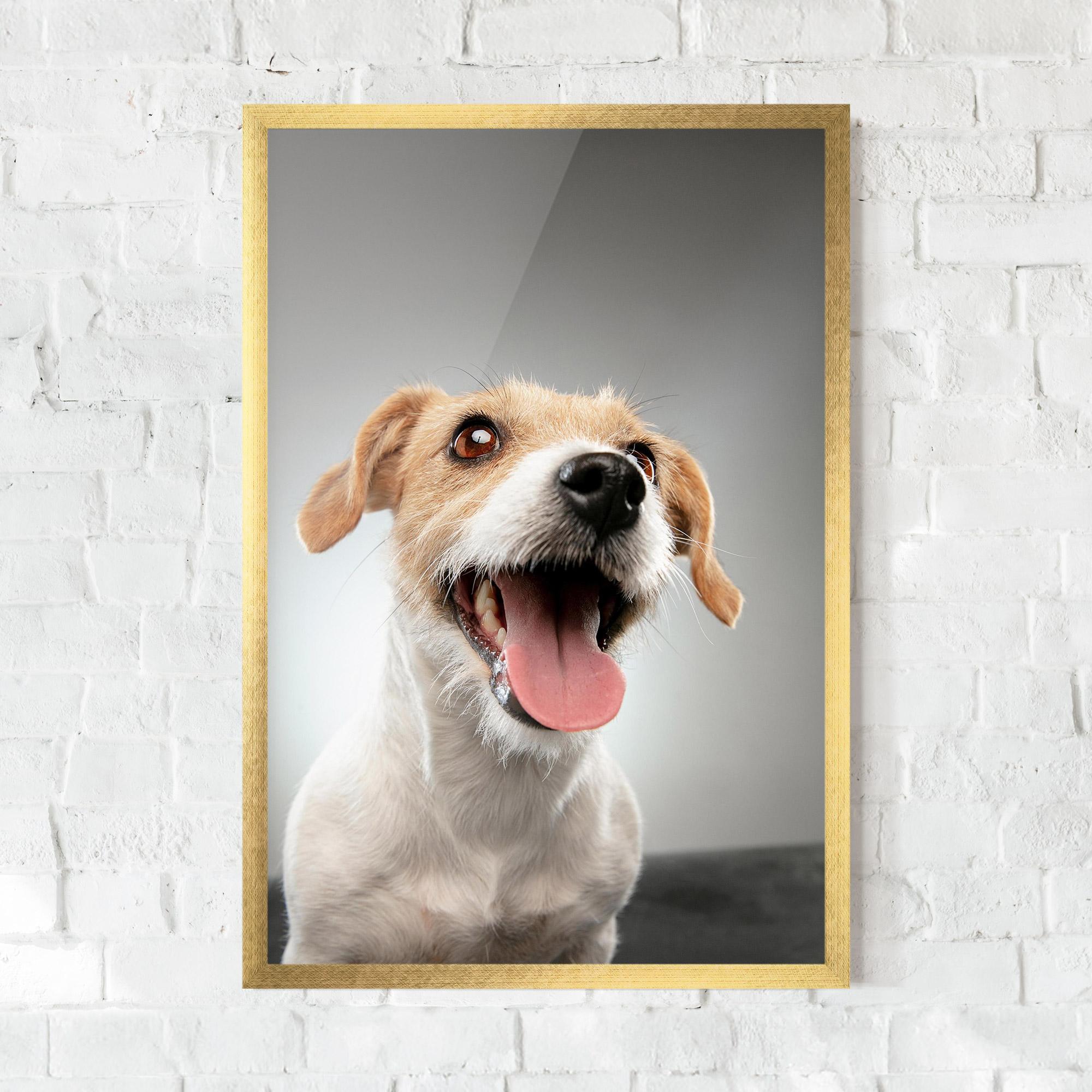 Keretezett Poszter Jack Russell Terrier mockup 0