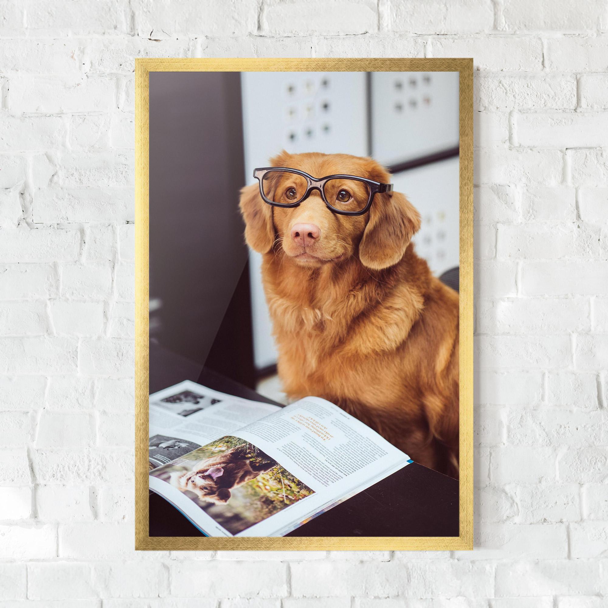Keretezett Poszter Learning Dog mockup 0