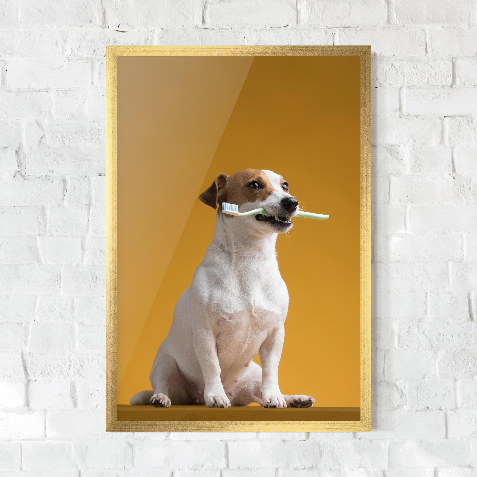 Keretezett Poszter Toothbrush Dog mockup 0