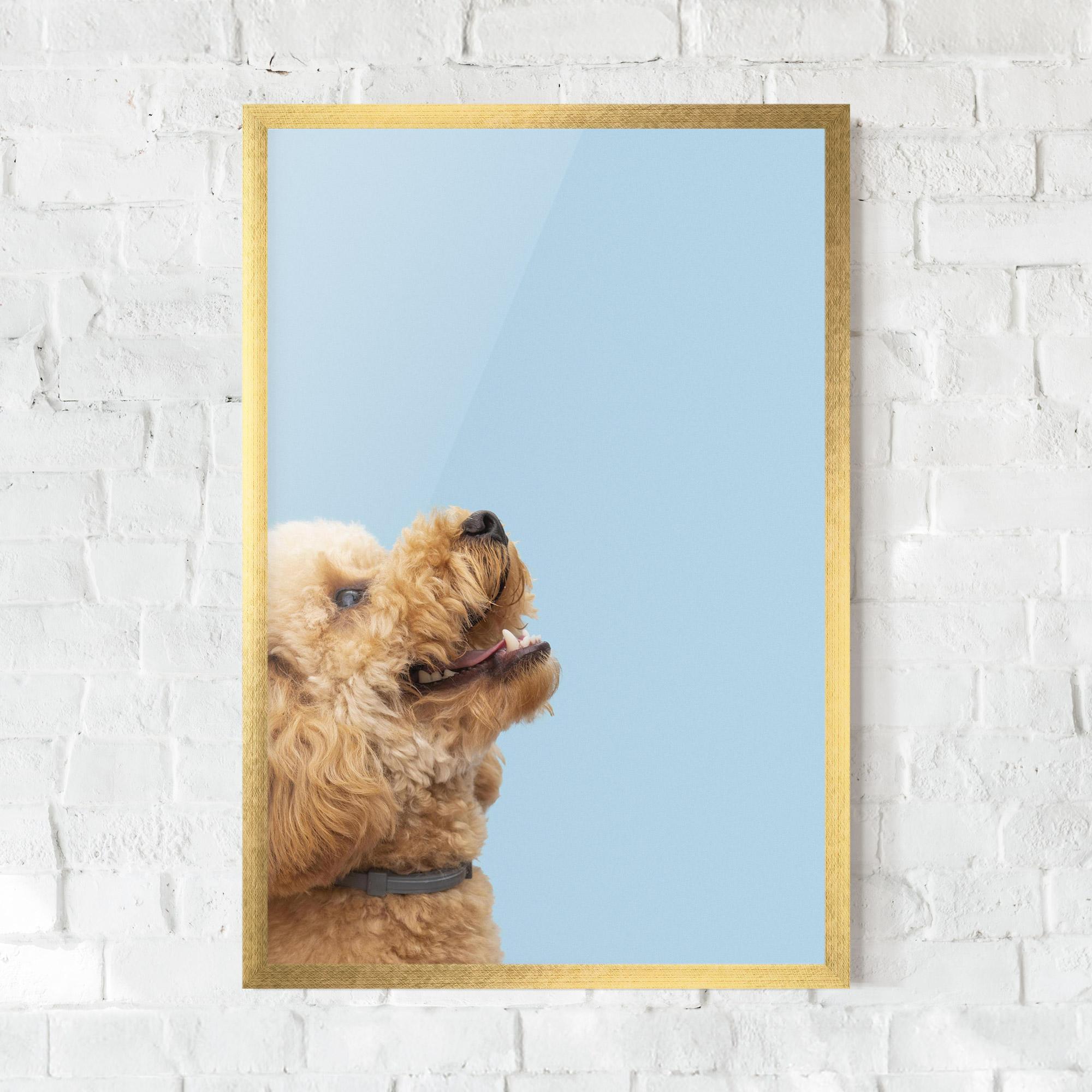 Keretezett Poszter Yellow Cute Dog mockup 0