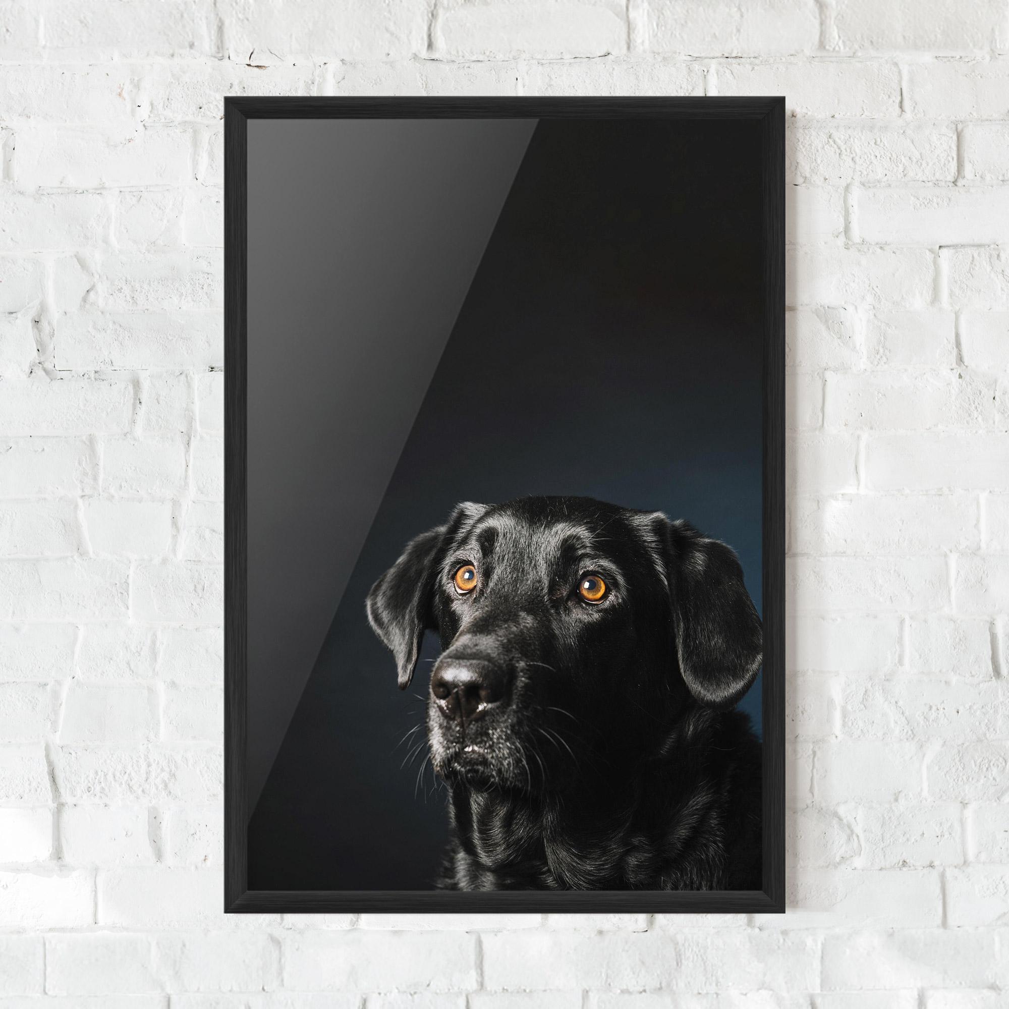 Keretezett Poszter Brown Eyes Dog mockup 0