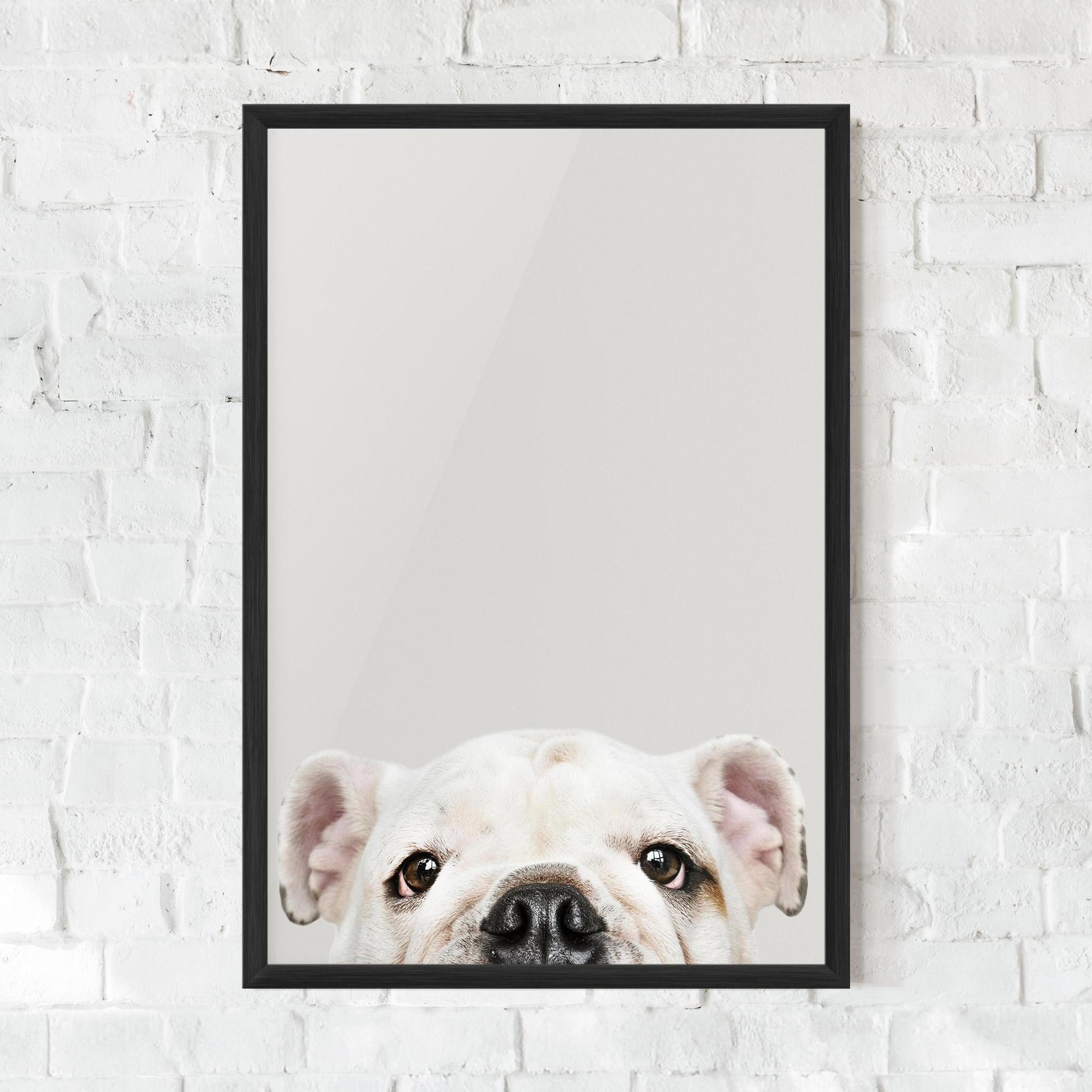 Keretezett Poszter Bulldog Eyes mockup 0