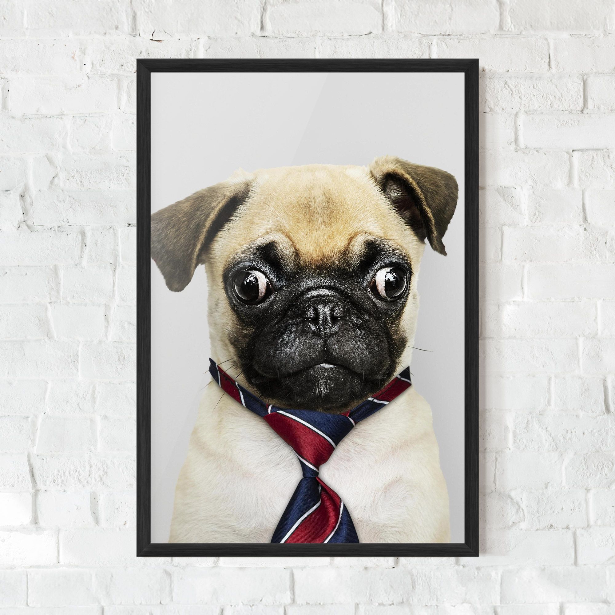 Business Pug mockup 0