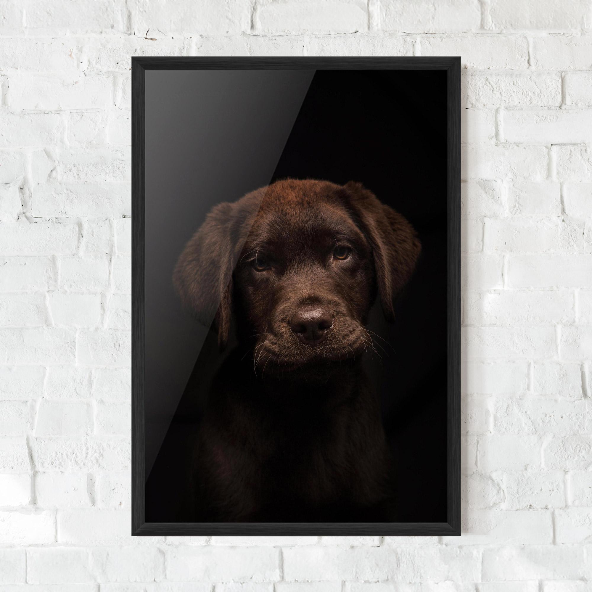 Keretezett Poszter Chocolate Labrador mockup 0