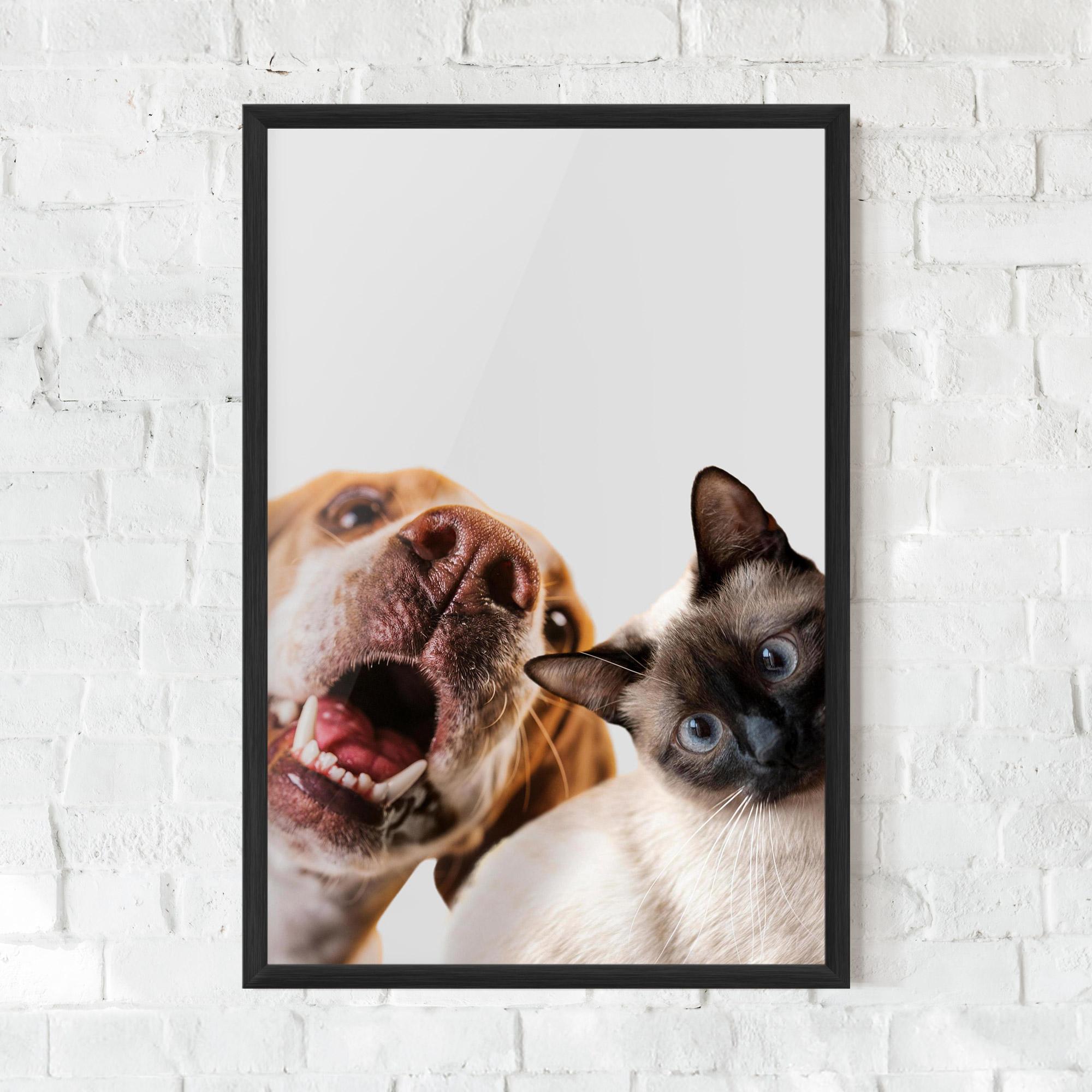 Keretezett Poszter Cute Pet Collage mockup 0