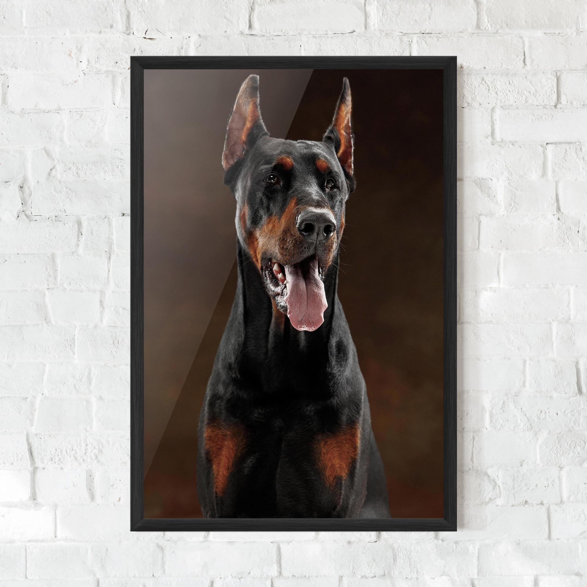 Keretezett Poszter Doberman Looking mockup 0
