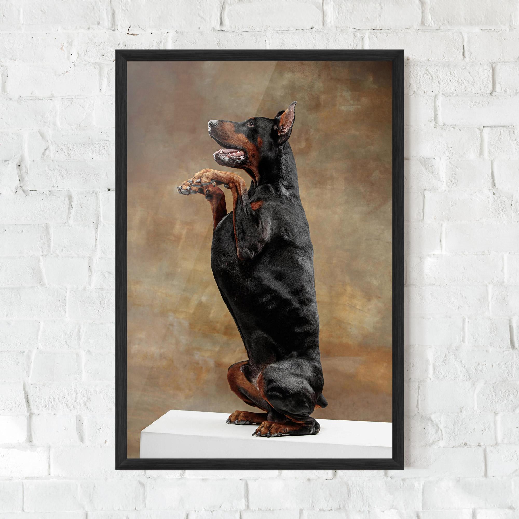 Keretezett Poszter Doberman Standing mockup 0
