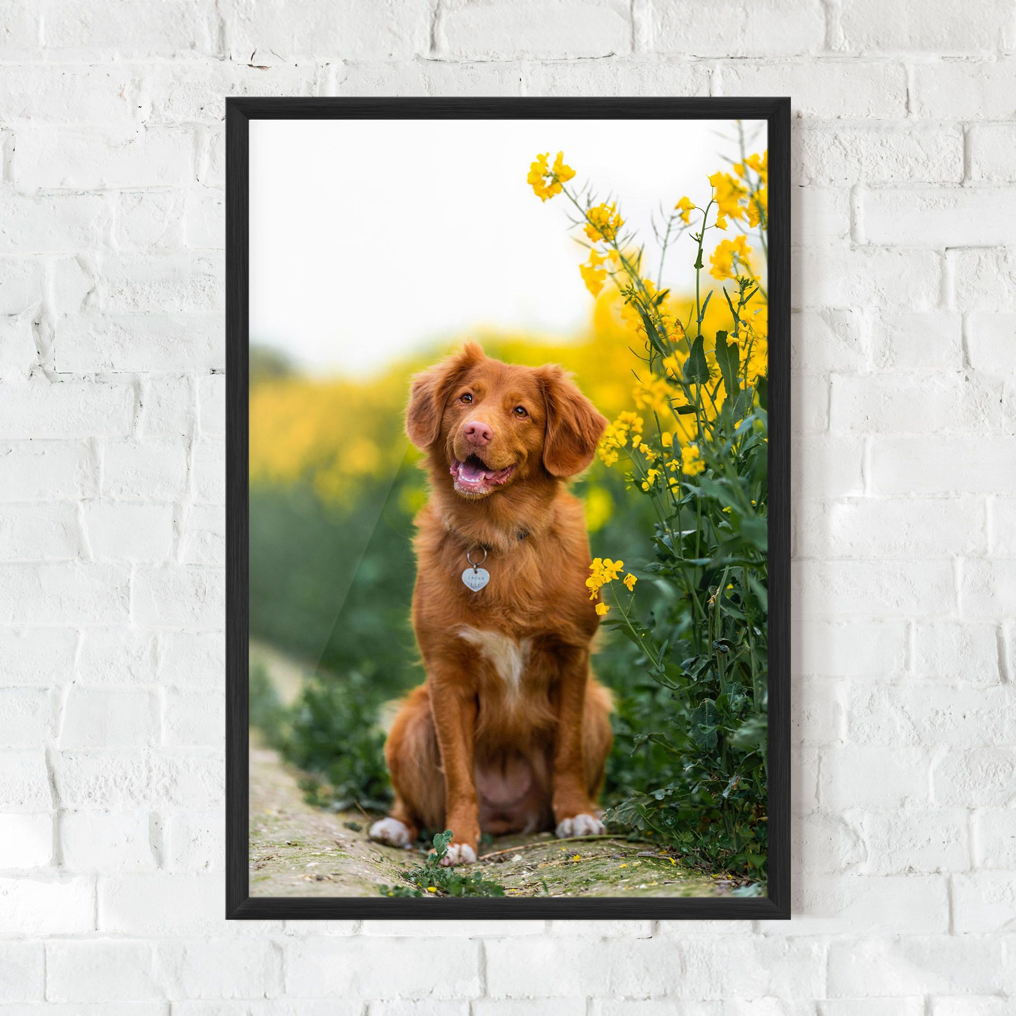 Dog Yellow Flowers mockup 0