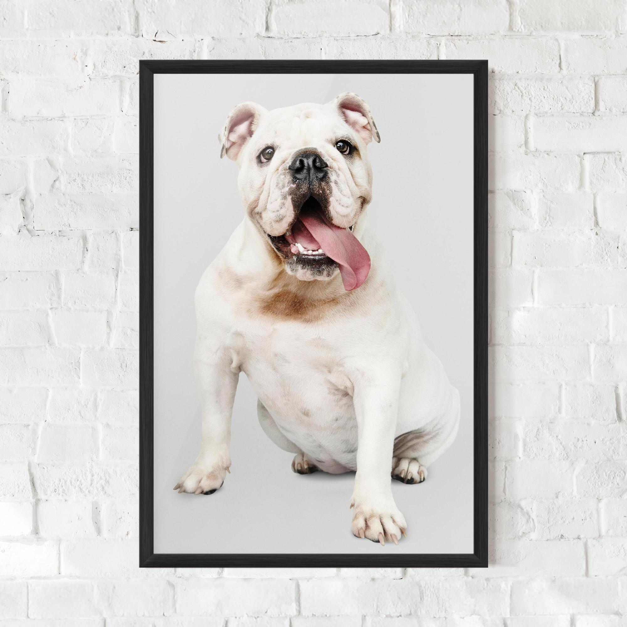 Keretezett Poszter Happy White Dog mockup 0