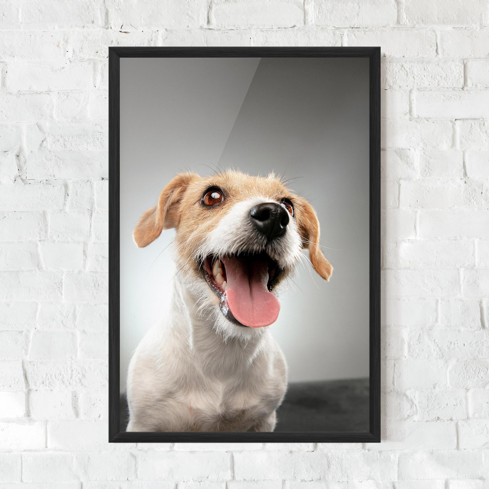 Keretezett Poszter Jack Russell Terrier mockup 0