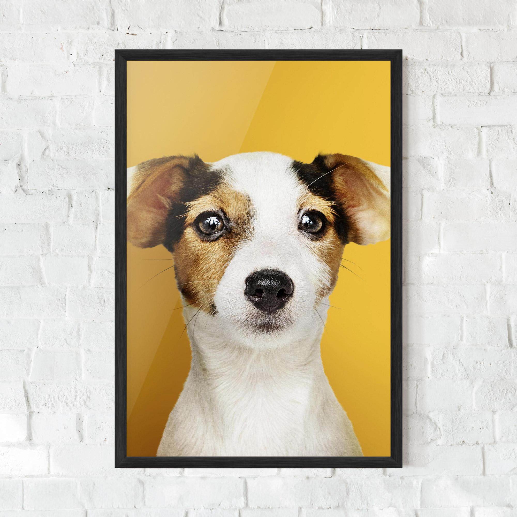 Keretezett Poszter Puppy On Yellow mockup 0