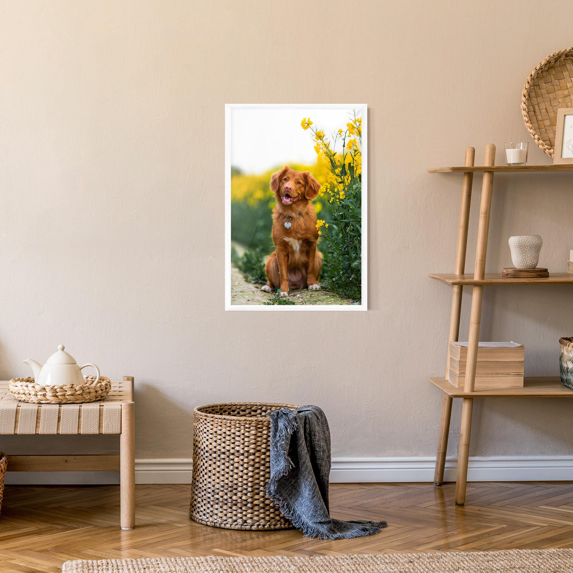 Keretezett Poszter Dog Yellow Flowers mockup 9