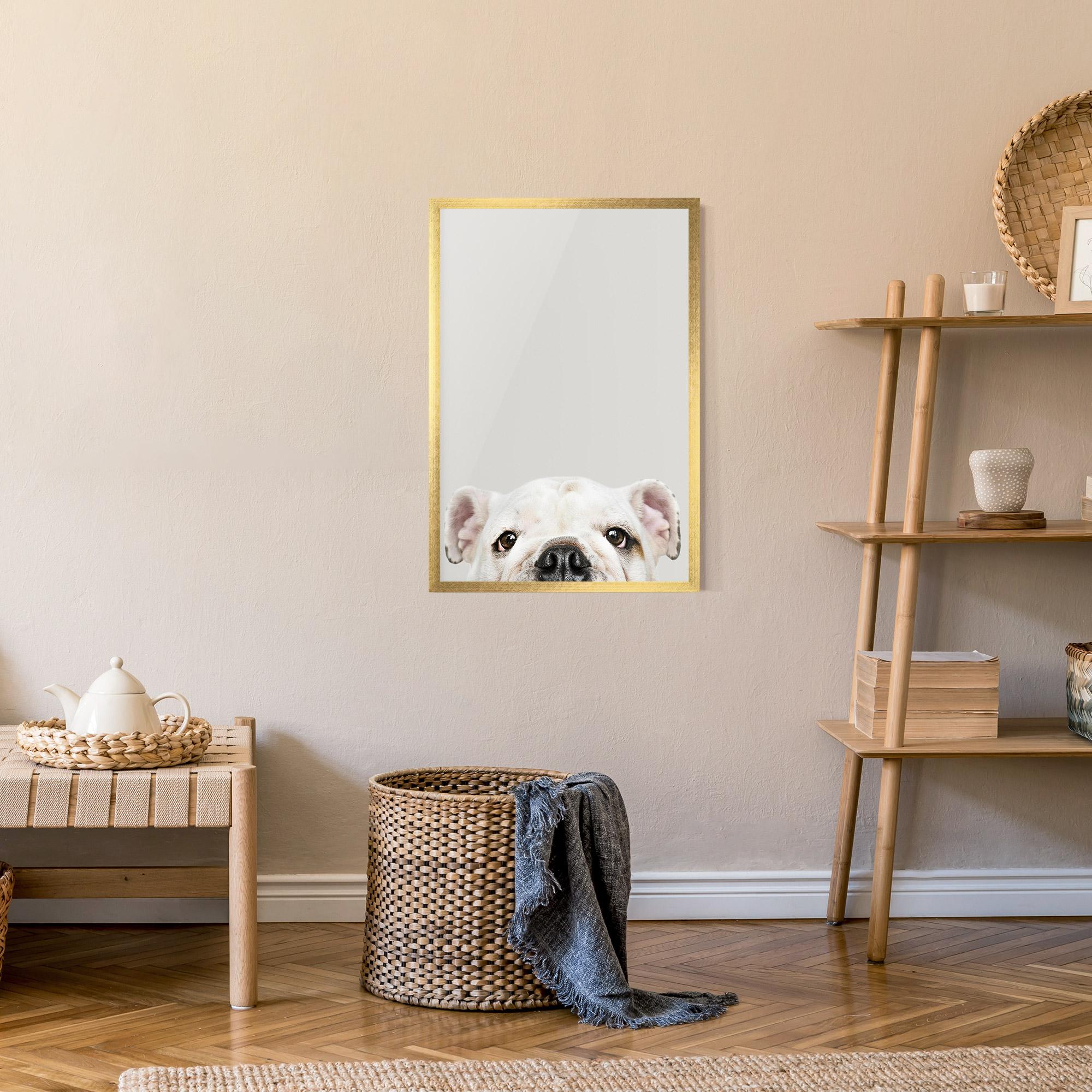 Keretezett Poszter Bulldog Eyes mockup 9