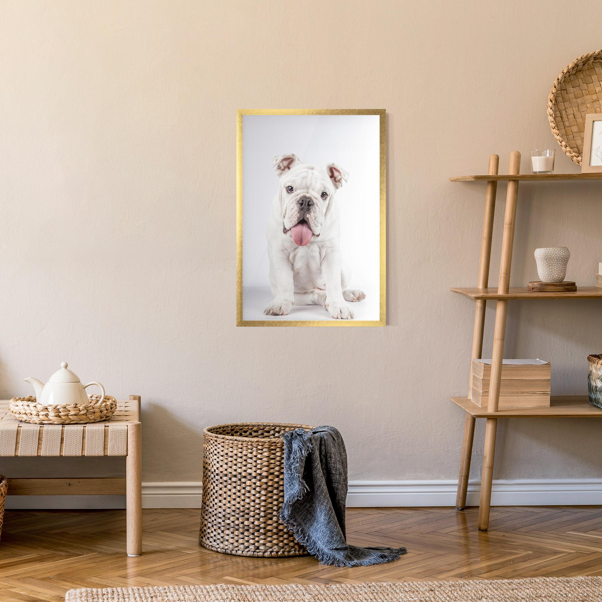 Keretezett Poszter English Bulldog mockup 9