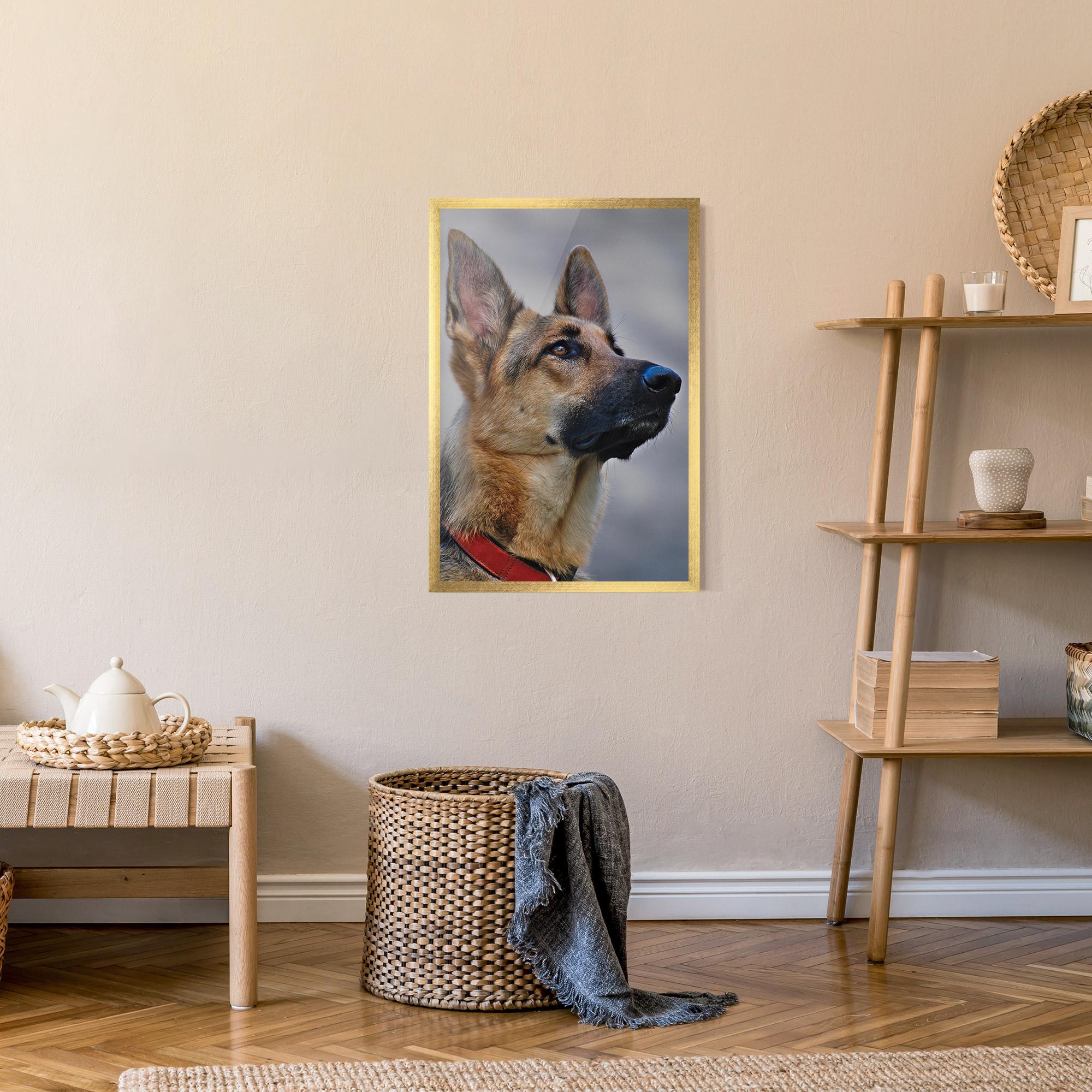 Keretezett Poszter German Shepherd mockup 9